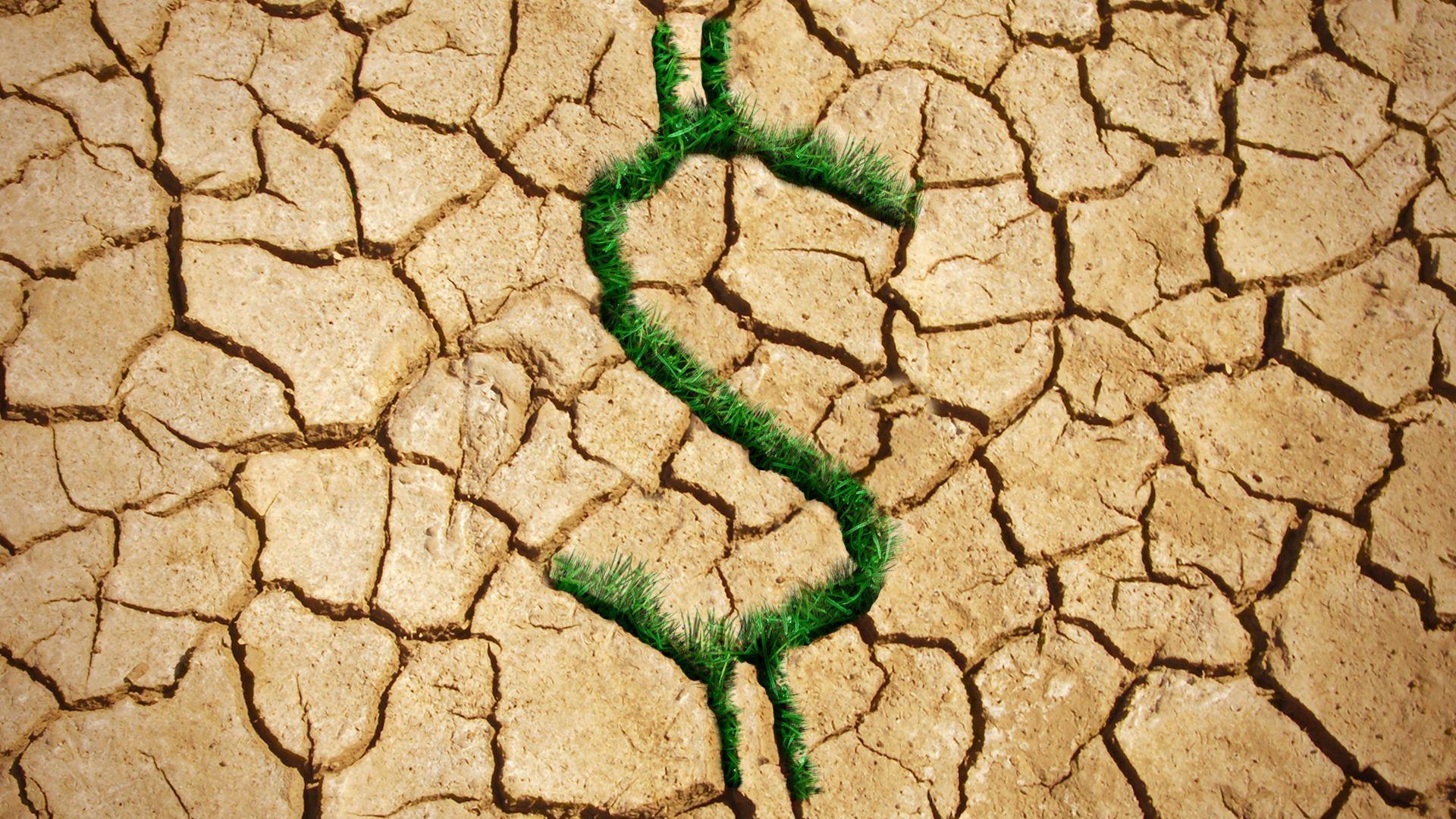 Illustration of cracked dry mud with grass growing between the cracks in the shape of a dollar sign. 