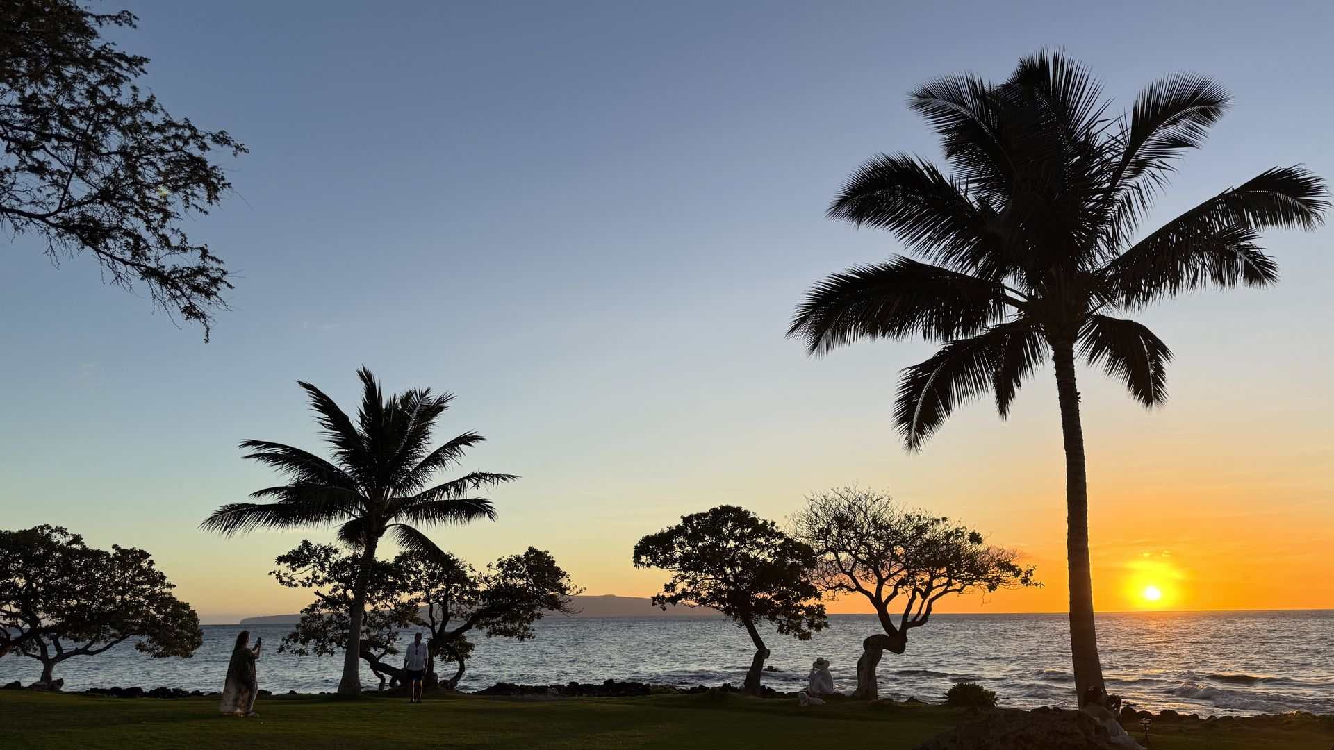 Photo of a Hawaii beach at sunset with palm trees in silhouette