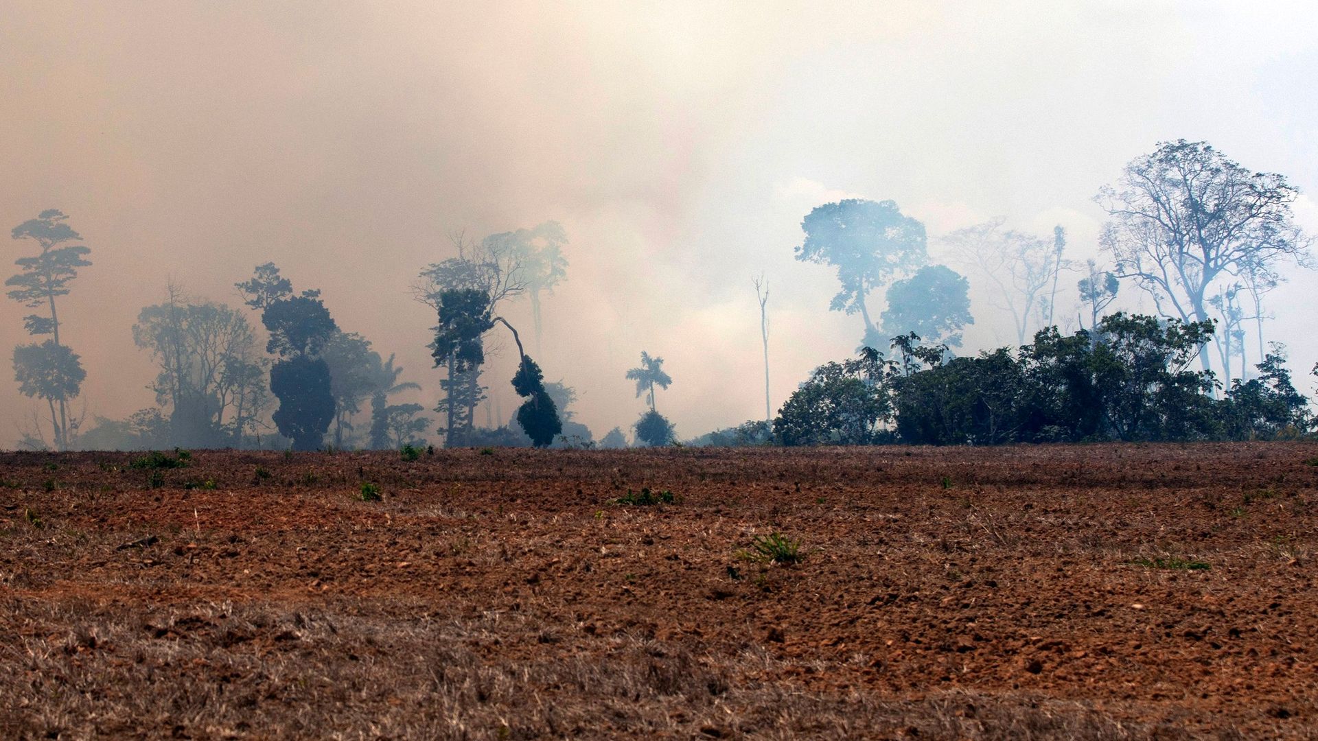 A smoke cloud is seen over a burnt area after a fire in the Amazon rainforest, in Novo Progresso, Para state, Brazil, on August 24, 2019. 
