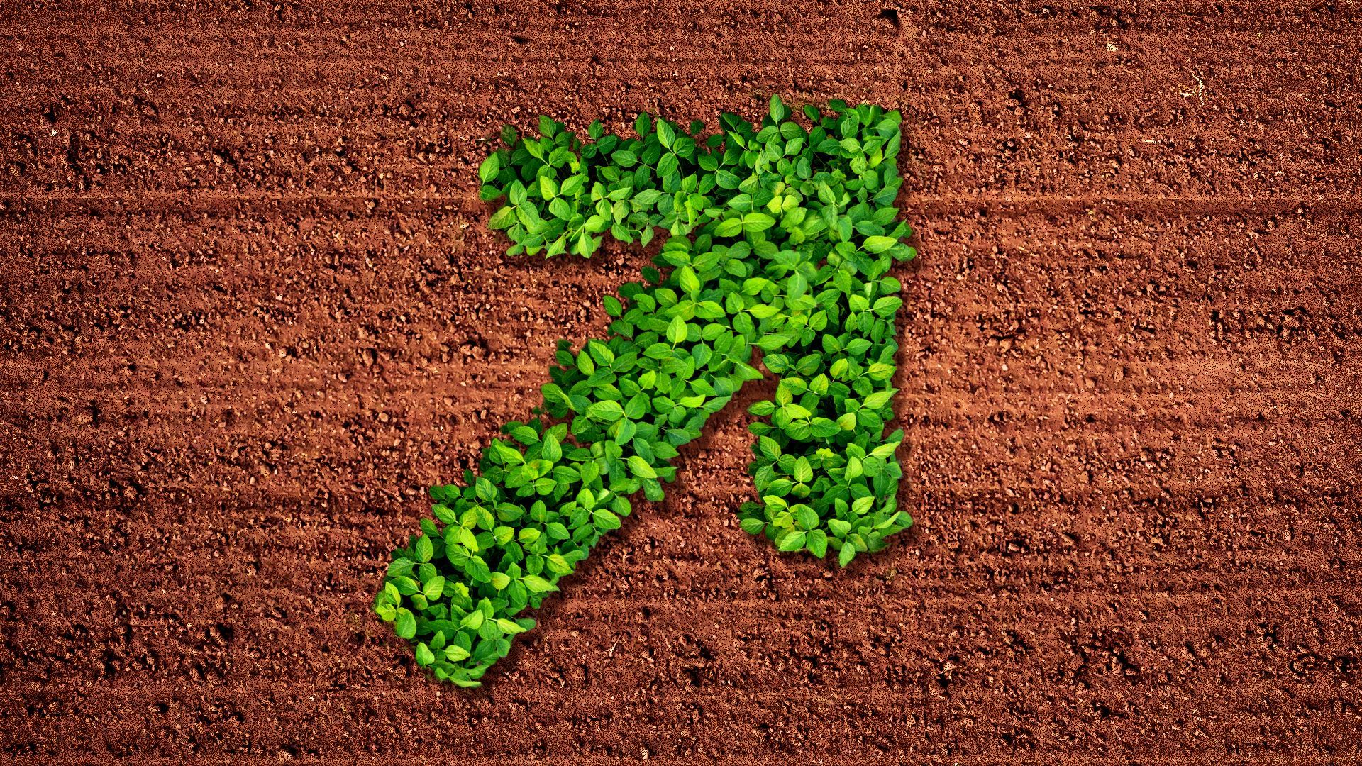 Illustration of a row of crops in the shape of an upward arrow.