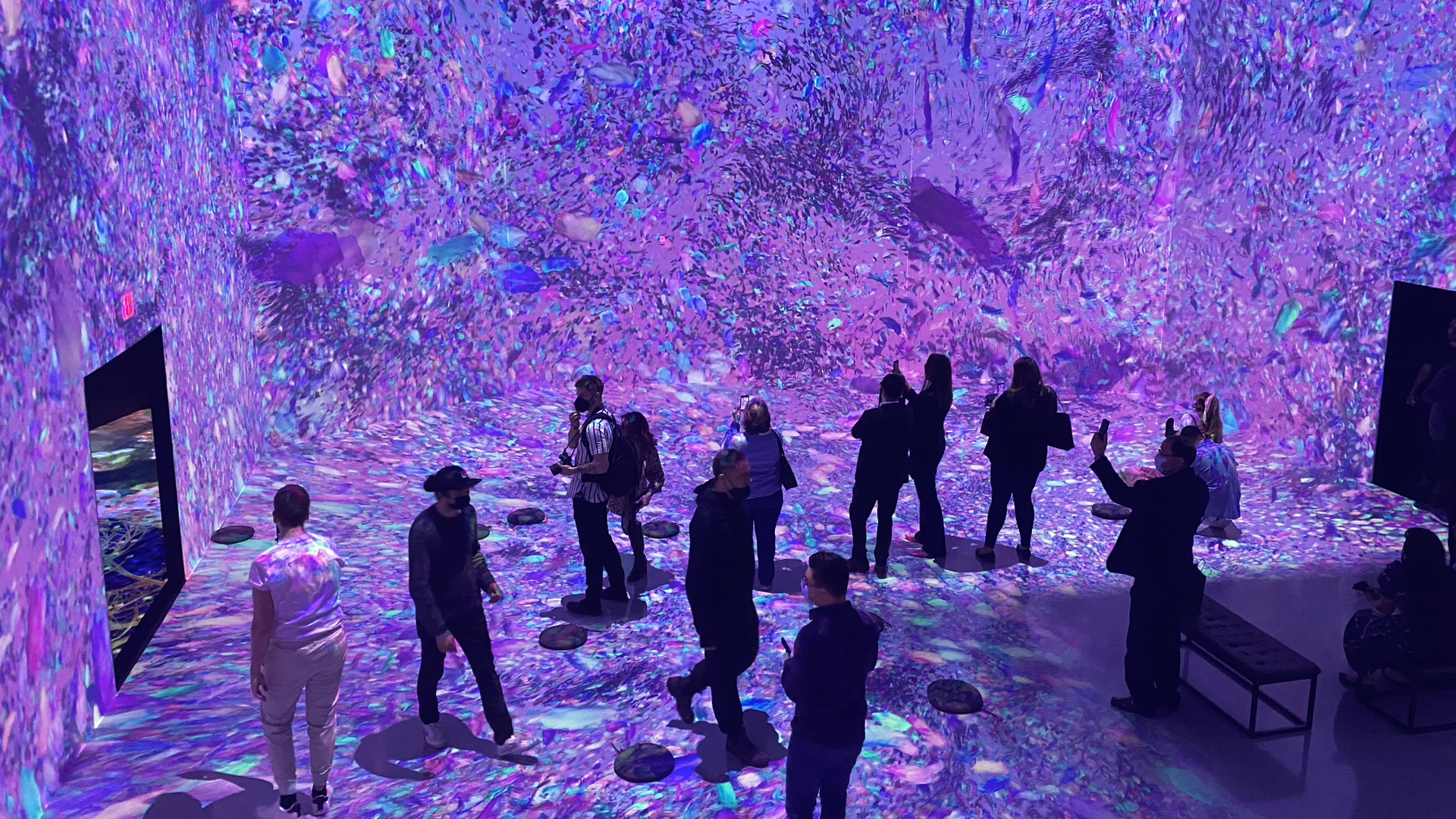 An immersive digital cherry blossom experience. 