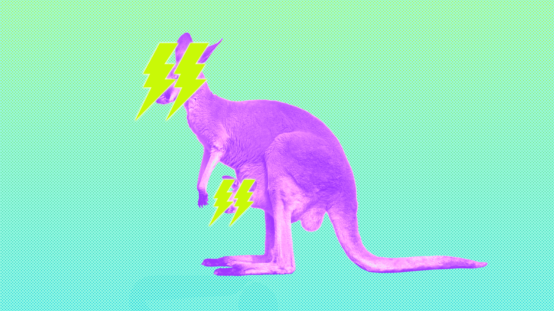 An animated GIF of kangaroos with lightning bolts for eyes