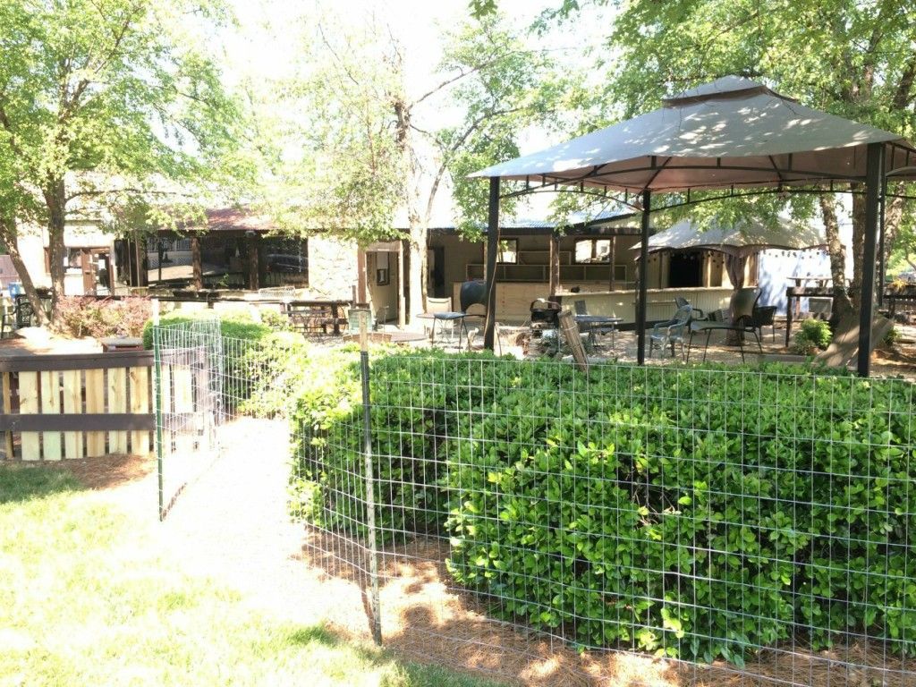 Philsopher's Stone new dog bar