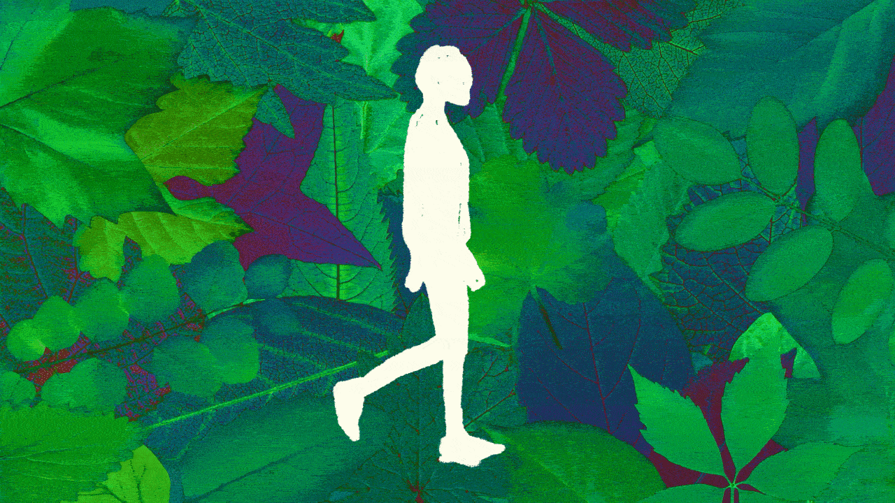 Animated illustration of a hand drawn human figure walking against a background of leaves.