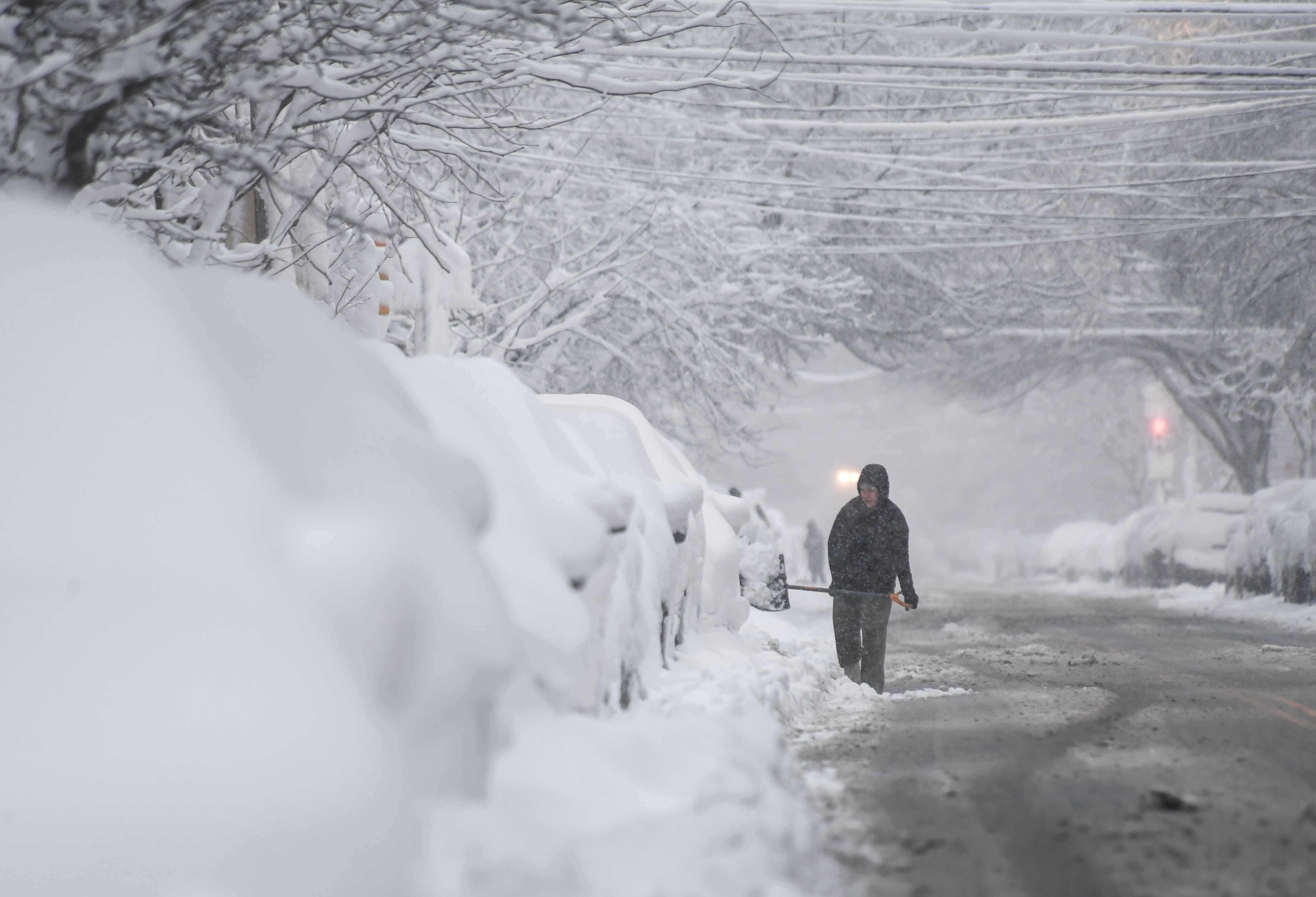 Person in dark clothing shovels snow on a snowy street lined with snow-covered cars and trees during heavy snowfall.