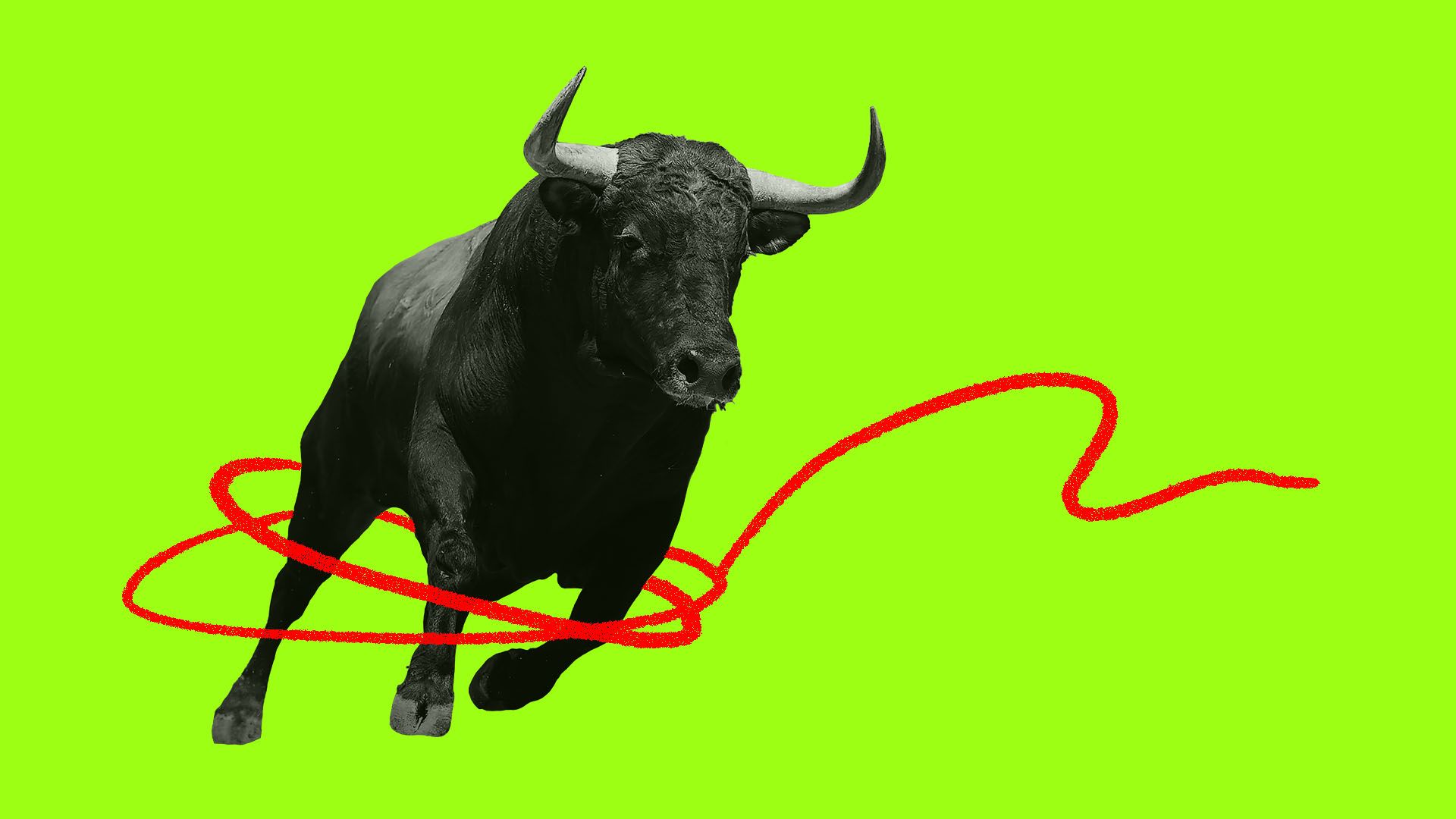 Illustration of a stock market bull