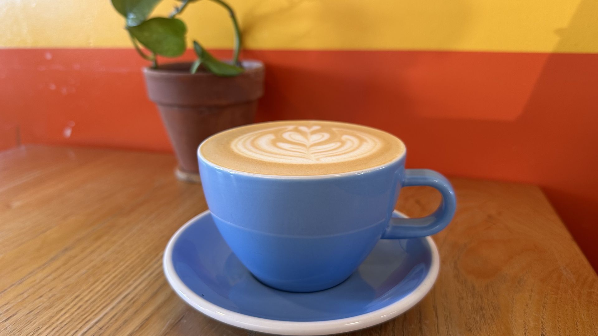A photo of a coffee mug in front of a colorful wall 