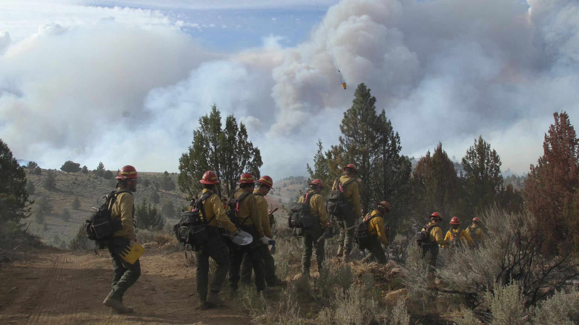 The Falls Fire, shown here on July 10, has burned over 150,000 acres and is still not fully contained. Photo: Courtesy of USDA Forest Service