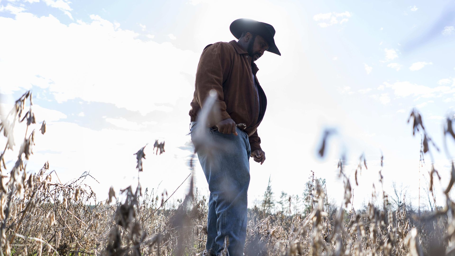 In this image, a man in a cowboy hat stands in a soybean field. 