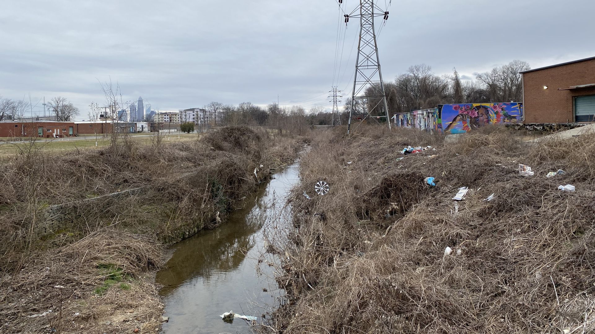 litter in sugar creek greenway in Charlotte's NoDa neighborhood