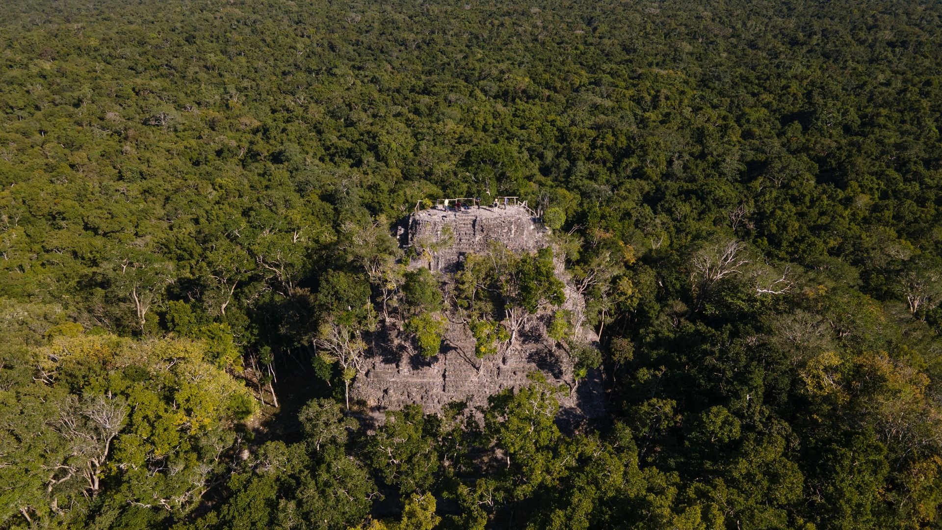 A view of the La Danta pyramid at the El Mirador archaeological site in San Andres, Guatemala.