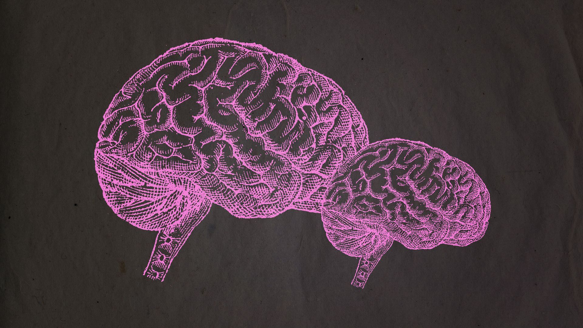 Illustration of a big brain next to a smaller brain.
