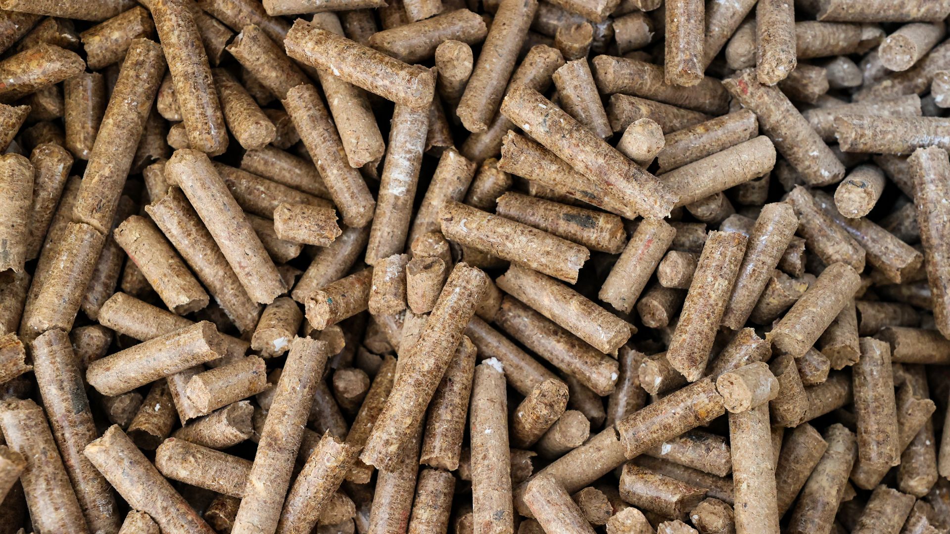 Biomass wood pellets