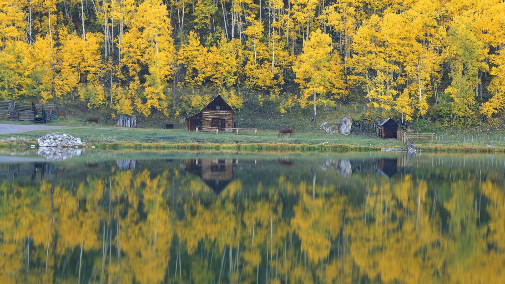 A photo of a brown wooden cabin with a lake in front of it and bright yellow trees behind it.