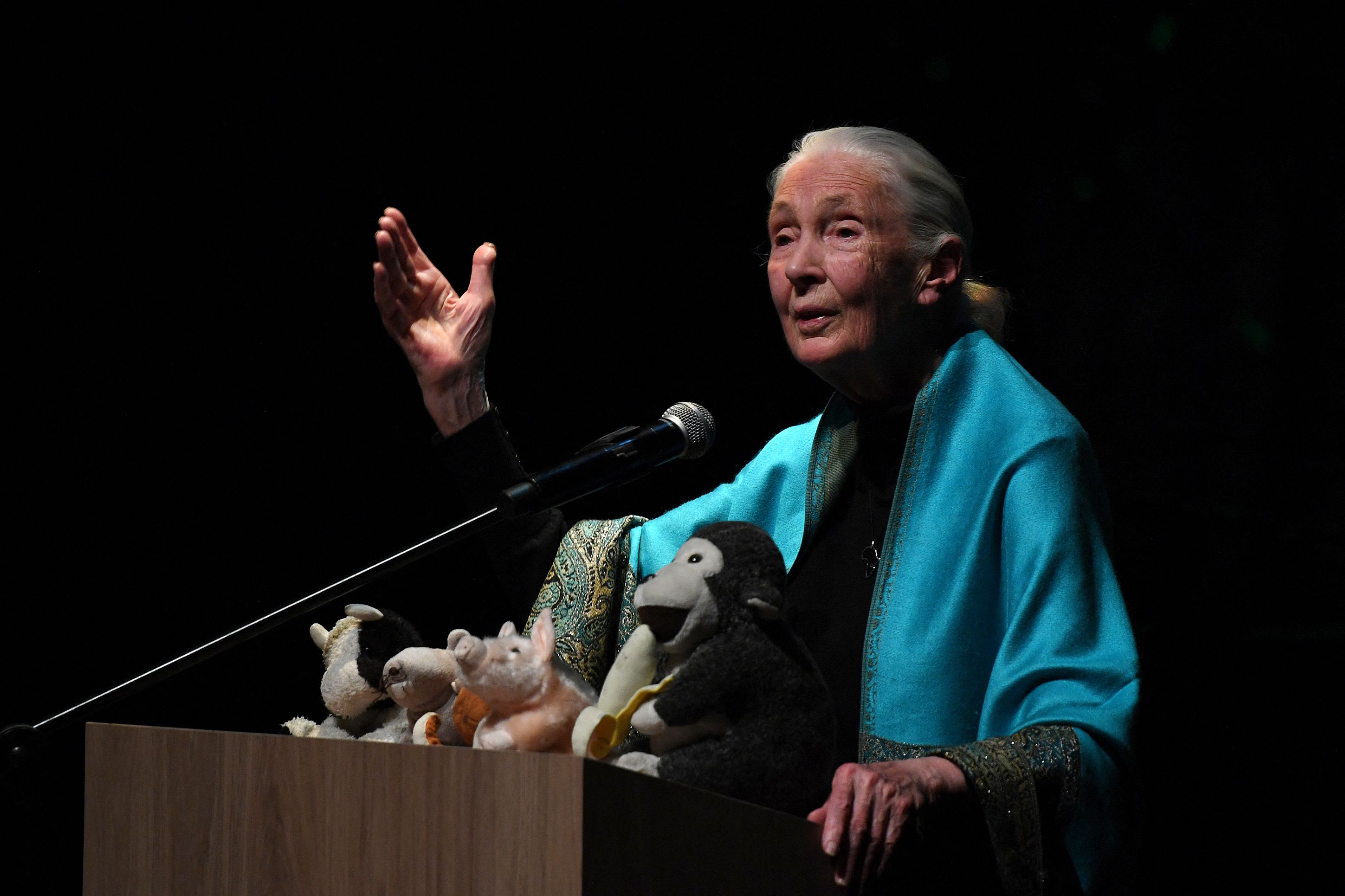 Santo Goodallさん専用 1724863030033.jpg