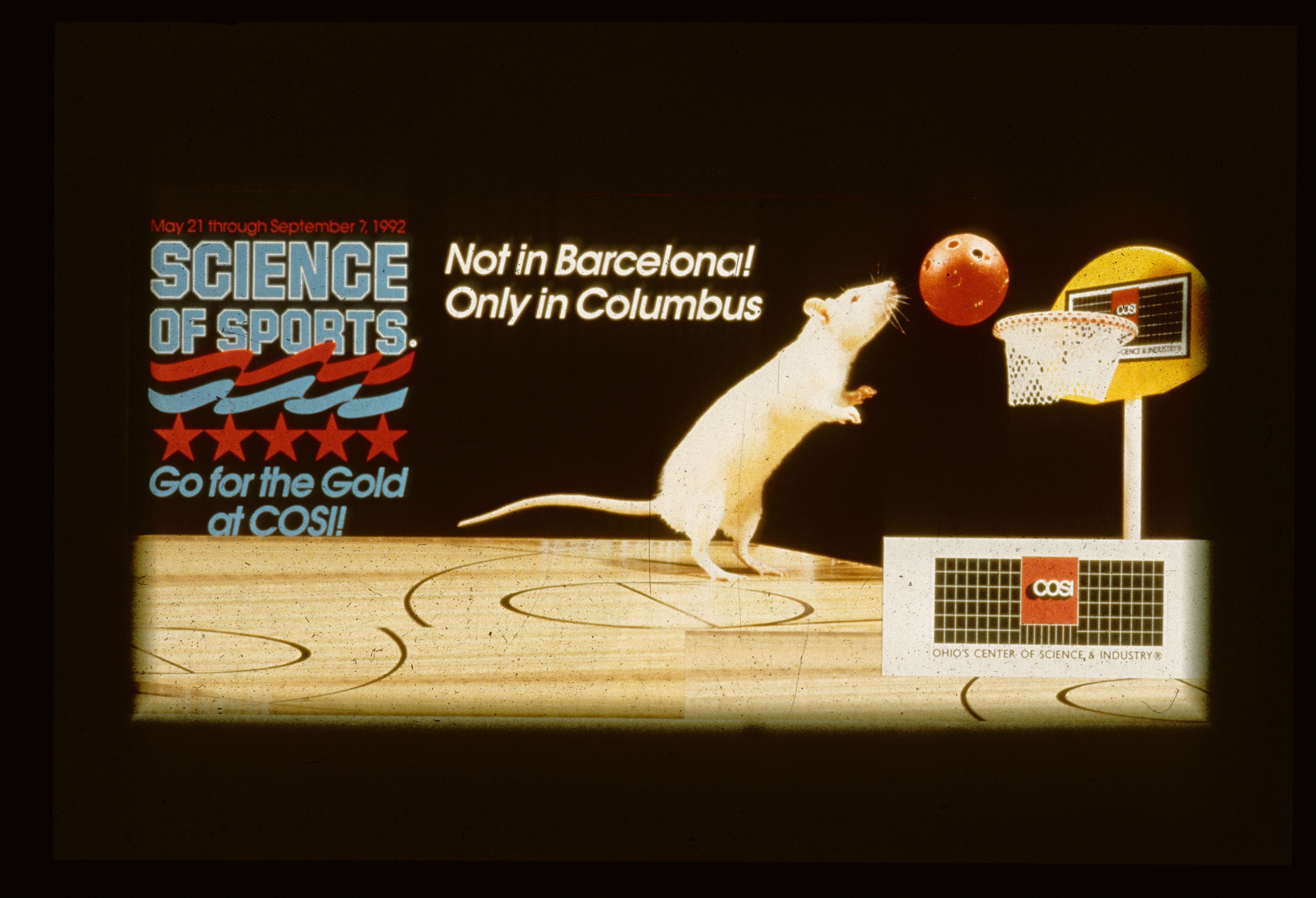 An ad for COSI's rat basketball