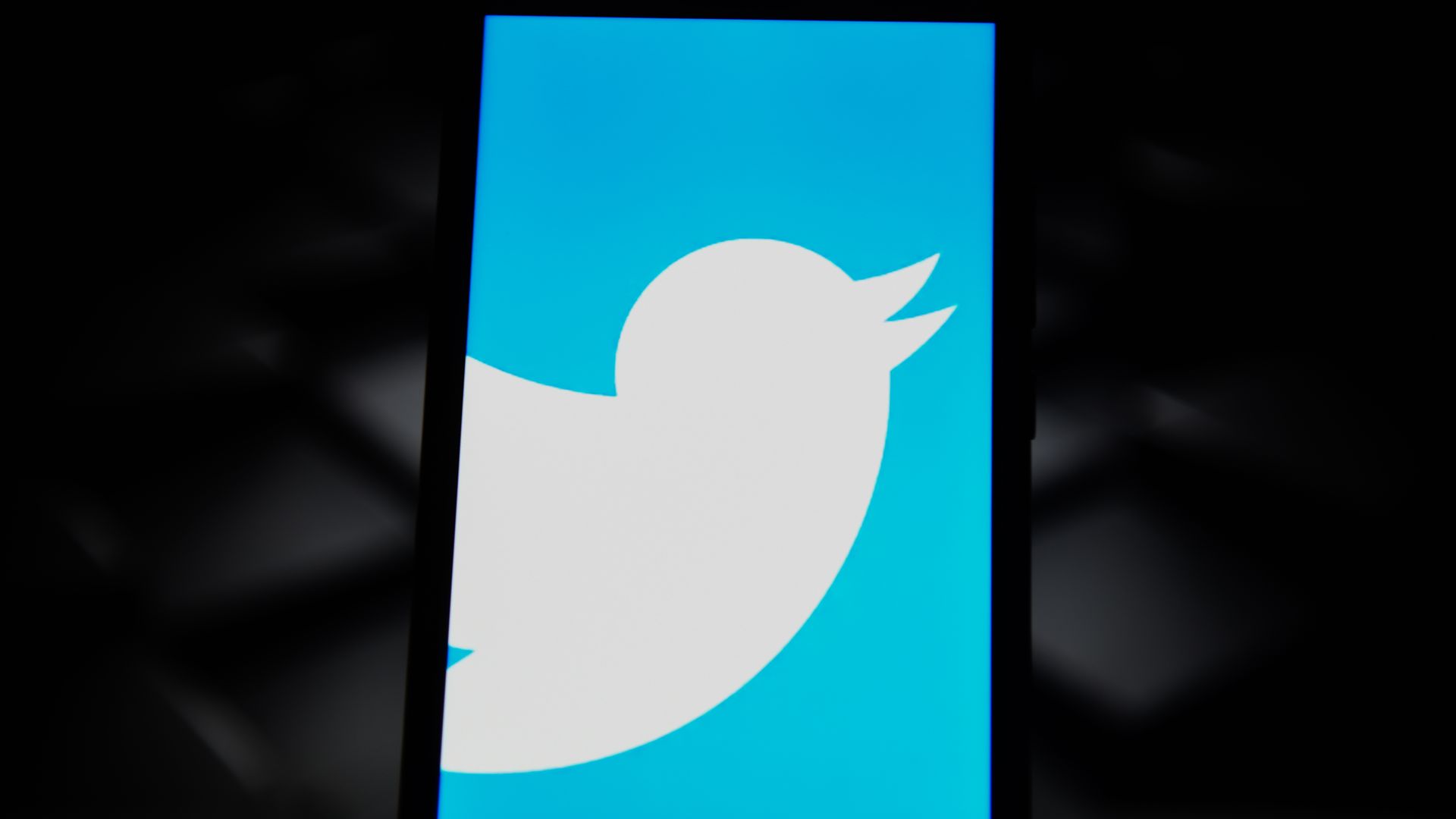 Twitter logo on a smartphone