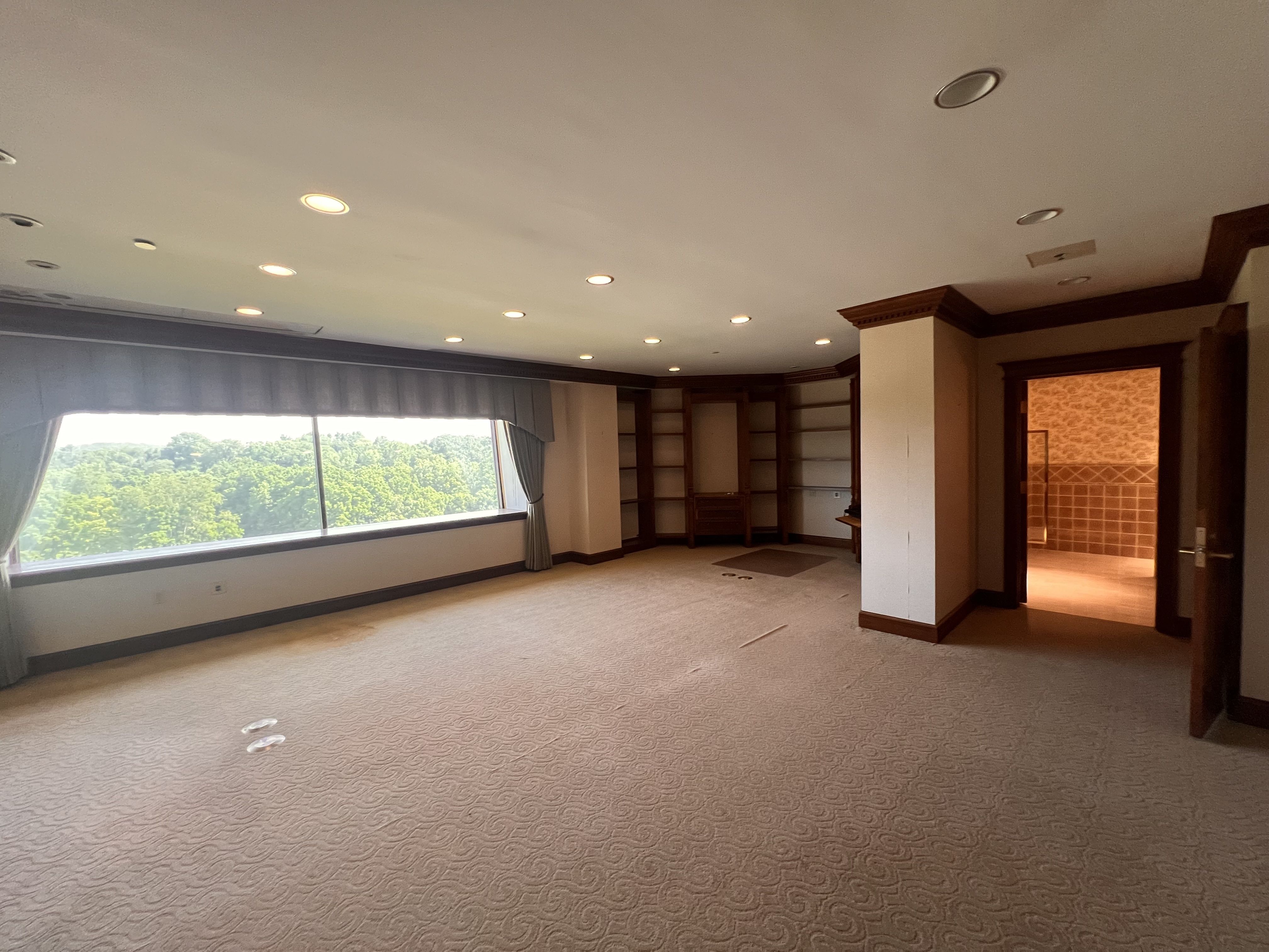 Large empty living room with beige carpet, dark wood trim, and recessed lights. A big window shows green trees outside; built-in wooden shelves line the back wall, and a doorway leads to a tiled room.