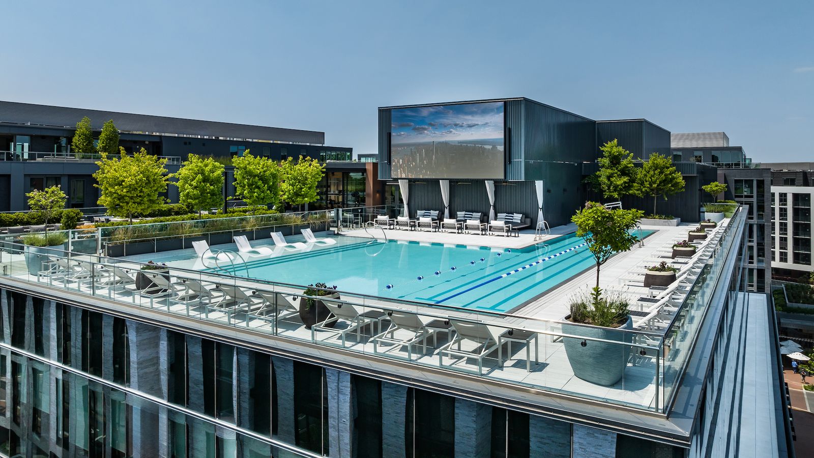 Rooftop pool club open to public for limited time at City Ridge in D.C. -  Axios Washington D.C.