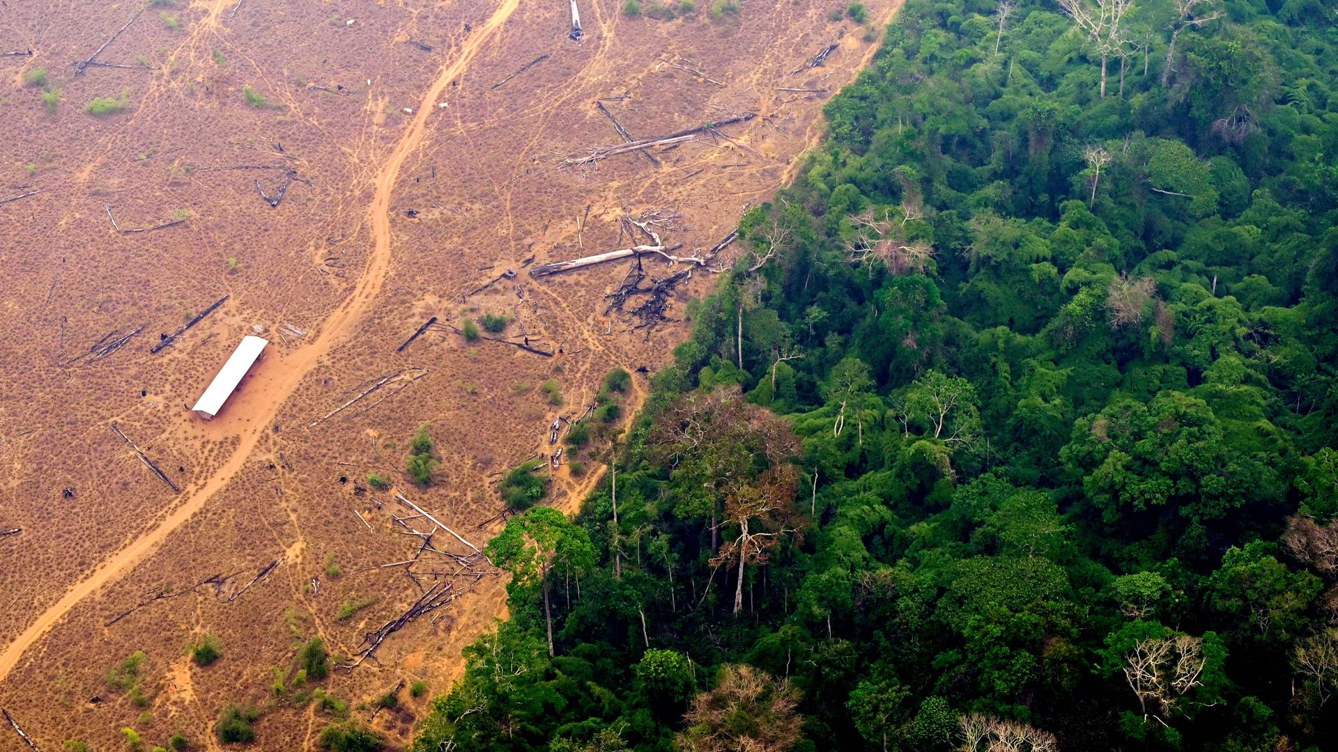 A deforested and burning area of the Amazon rainforest in the region of Labrea, state of Amazonas, northern Brazil, on Sept. 2, 2022. Photo: Douglas Magno/AFP via Getty Images