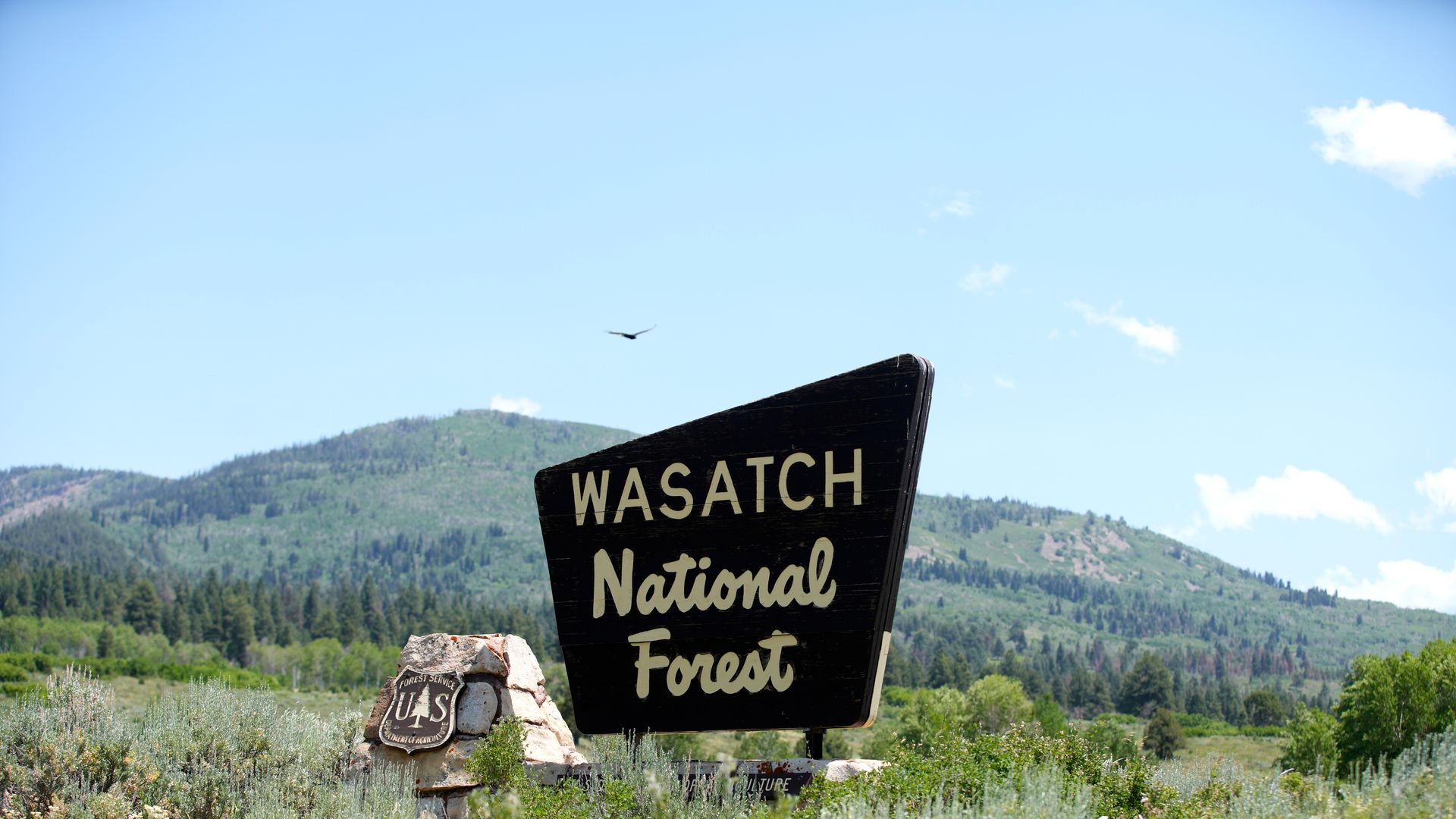Logging and new road construction would be allowed near the Mirror Lake Highway if the Trump administration rescinds the "Roadless Rule" for national forests. Photo: George Frey/Bloomberg via Getty Images