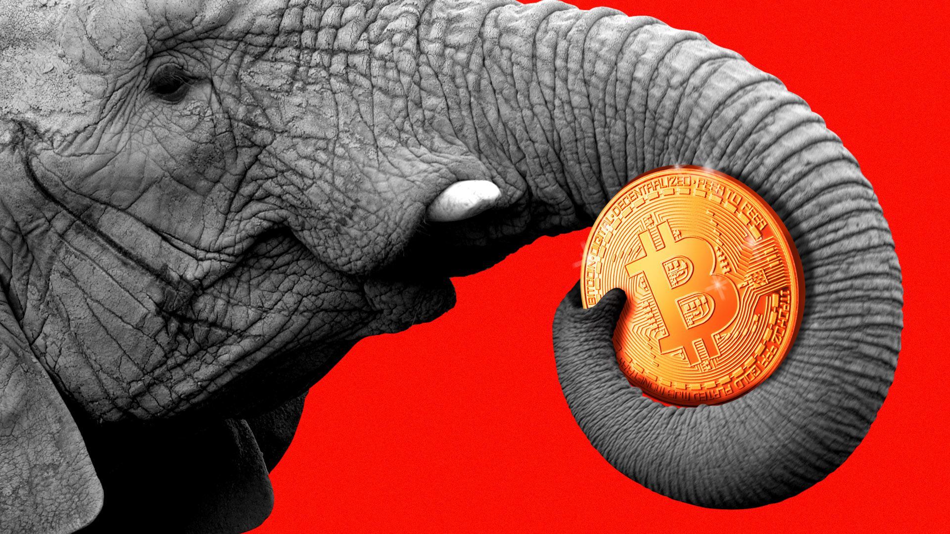 Illustration of an elephant holding a giant bitcoin