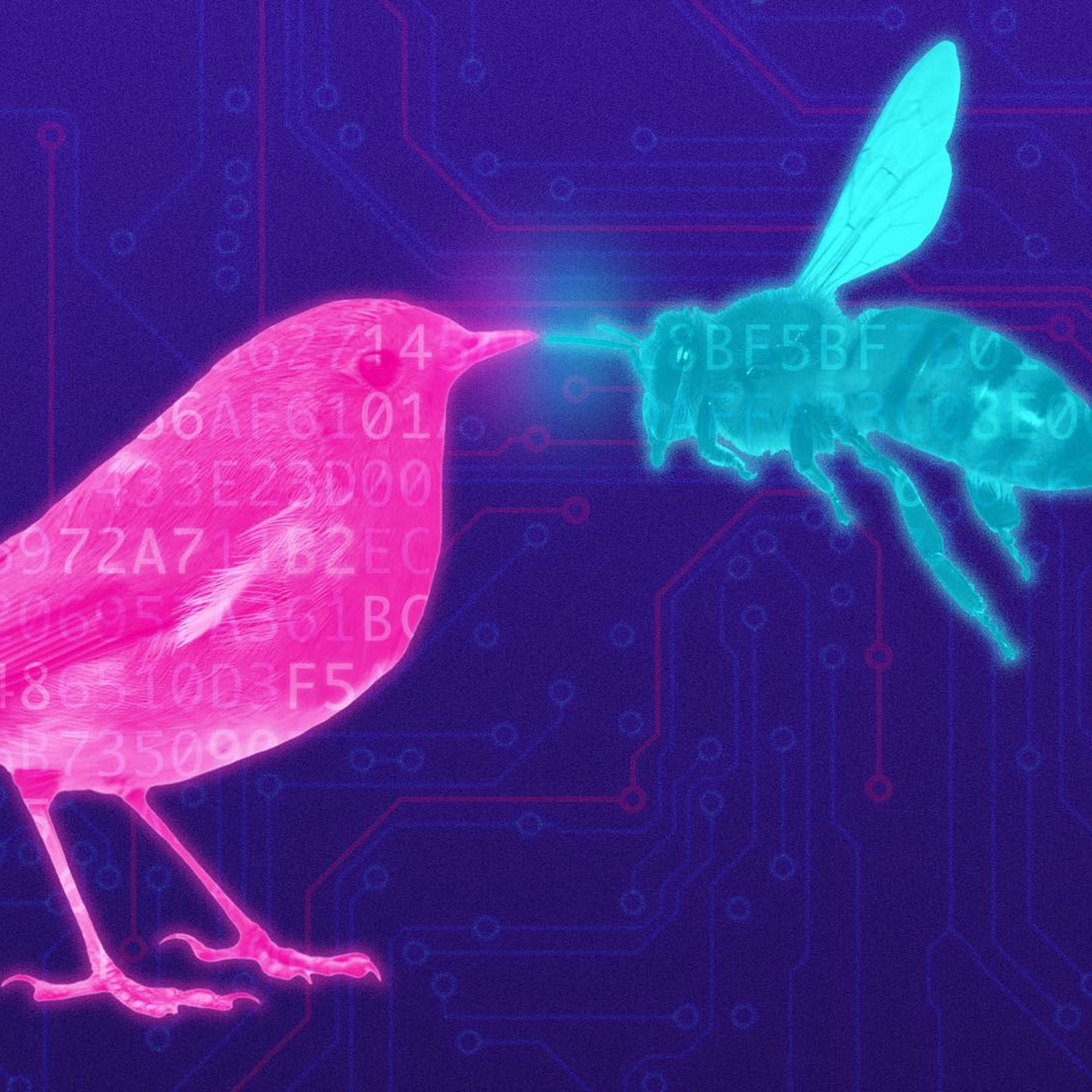 Illustration of a glowing bird and a bee with coding overlay.