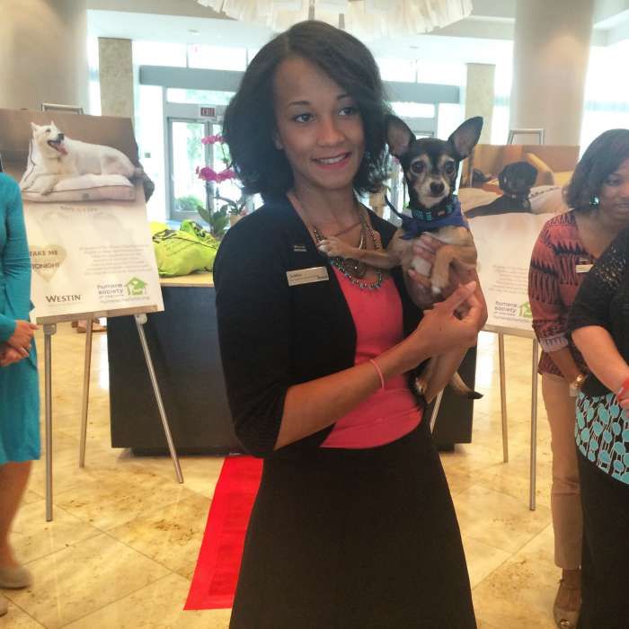 Westin dog adoption Charlotte