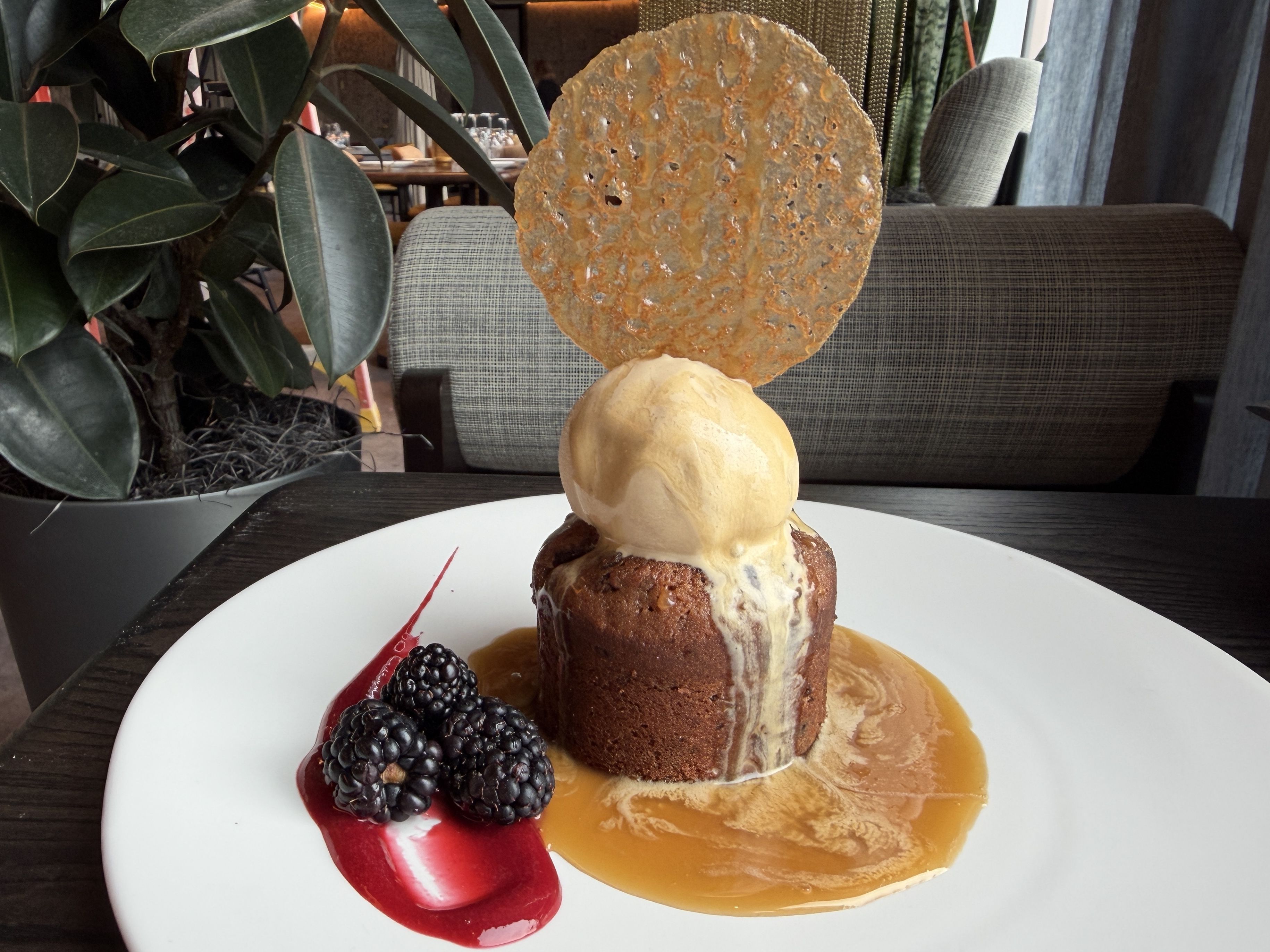 Dessert on a white plate: stacked cake with ice cream, caramel sauce, and a round caramel lace disk; blackberries with red sauce beside it, on a dark wooden table with a plant in the background.