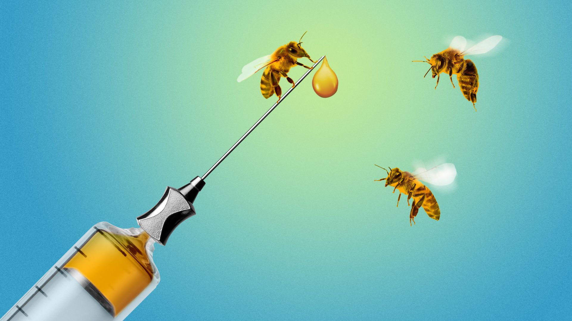 Illustration of honey bees buzzing around a syringe with a droplet of vaccine. 