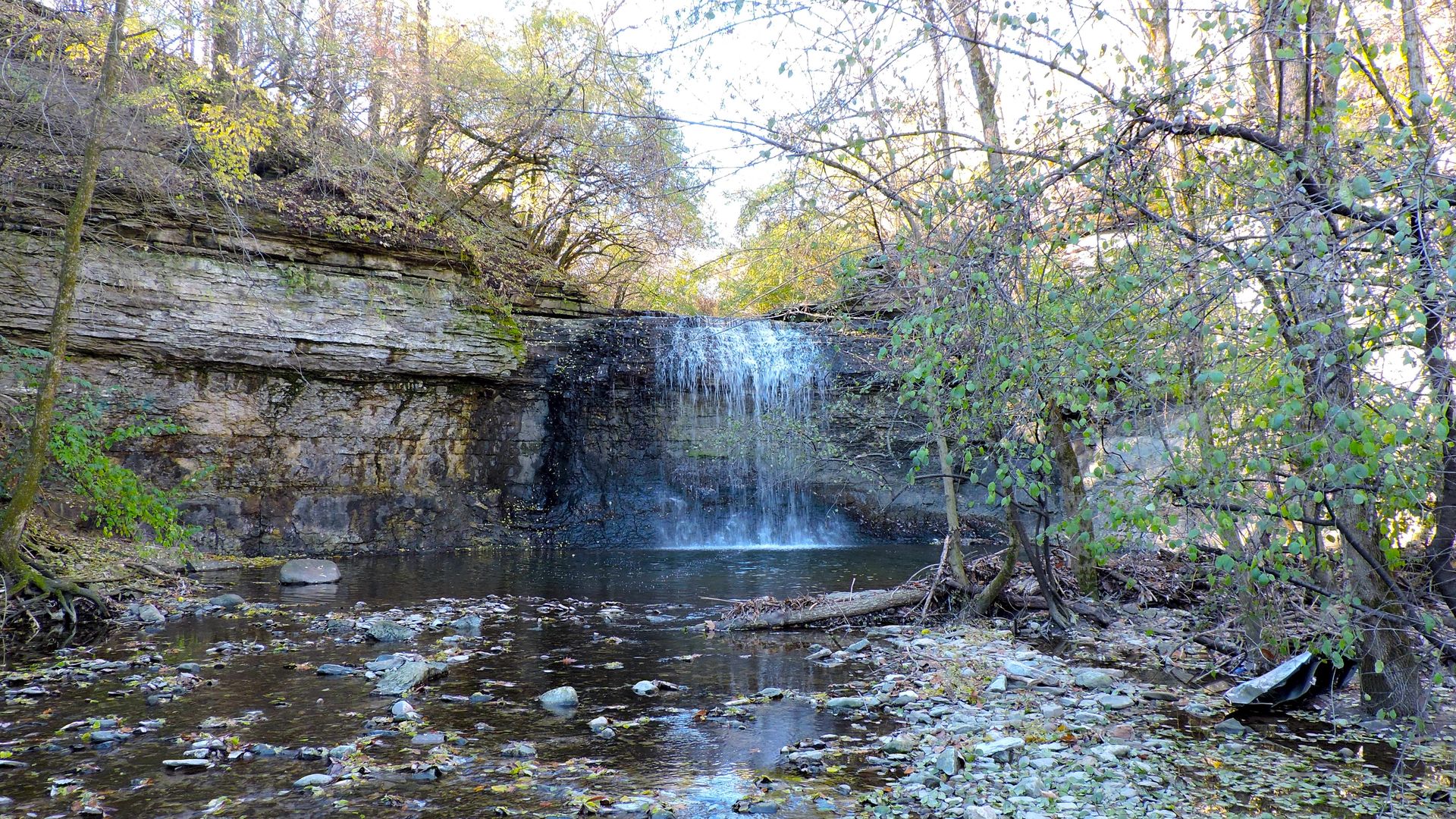 A waterfall flows into a stream surrounded by trees