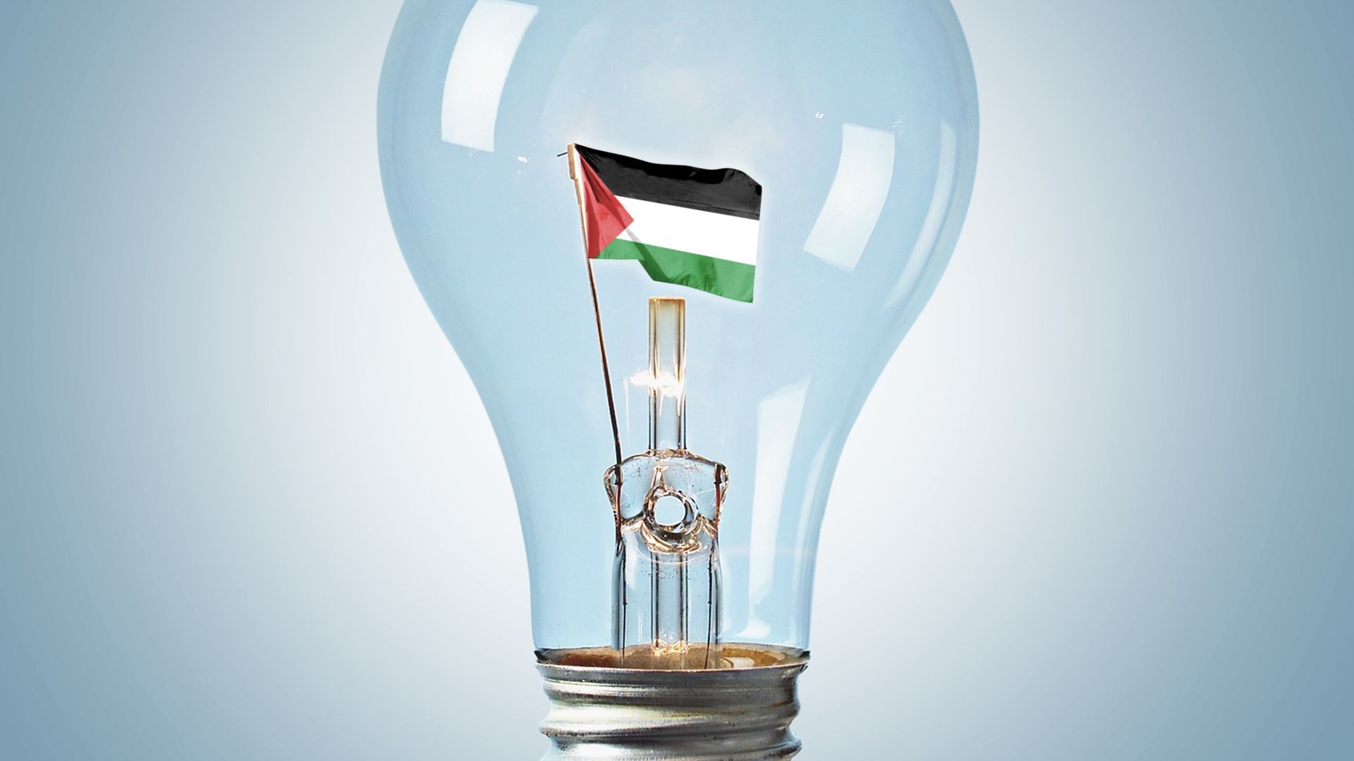 Illustration of a light bulb with the flag of Palestine inside