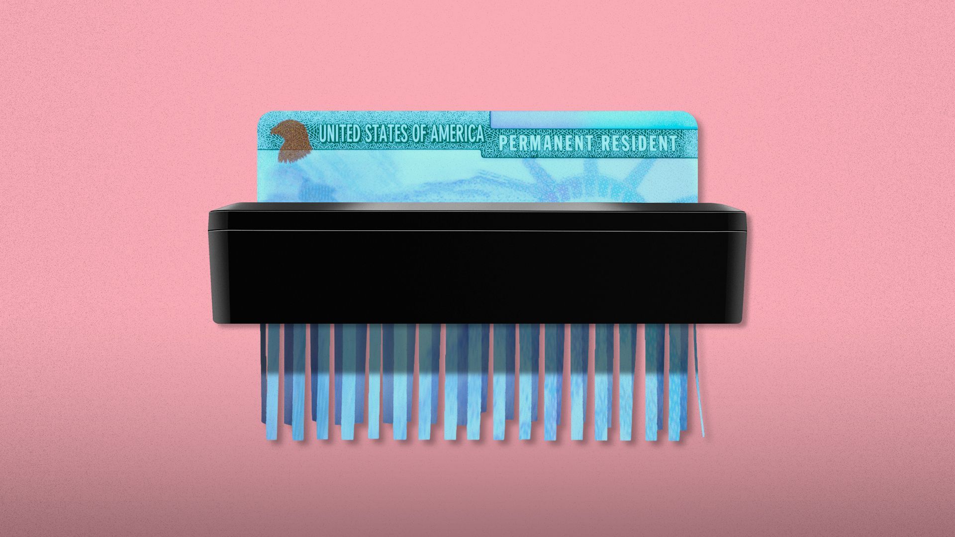 Illustration of a US green card going through a paper shredder.