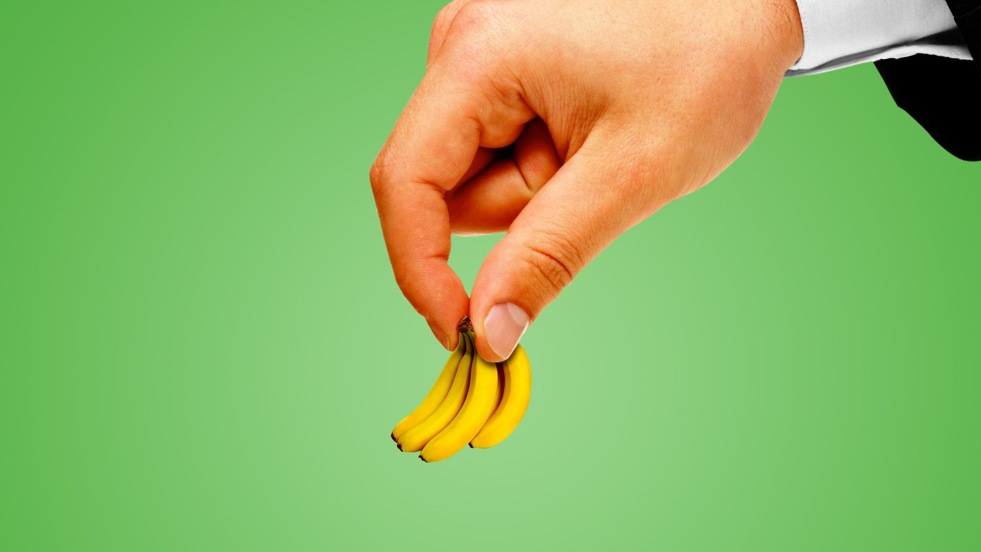 Illustration of a hand holding a tiny bunch of bananas.