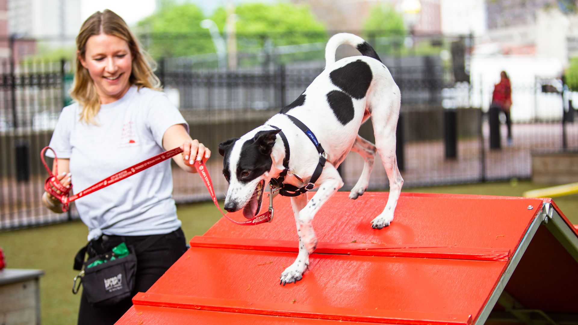 volunteer guides a dog down a red ramp