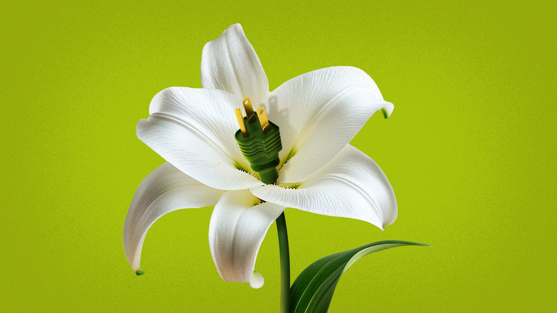 Illustration of a lily flower with a green electrical plug replacing its stamen.