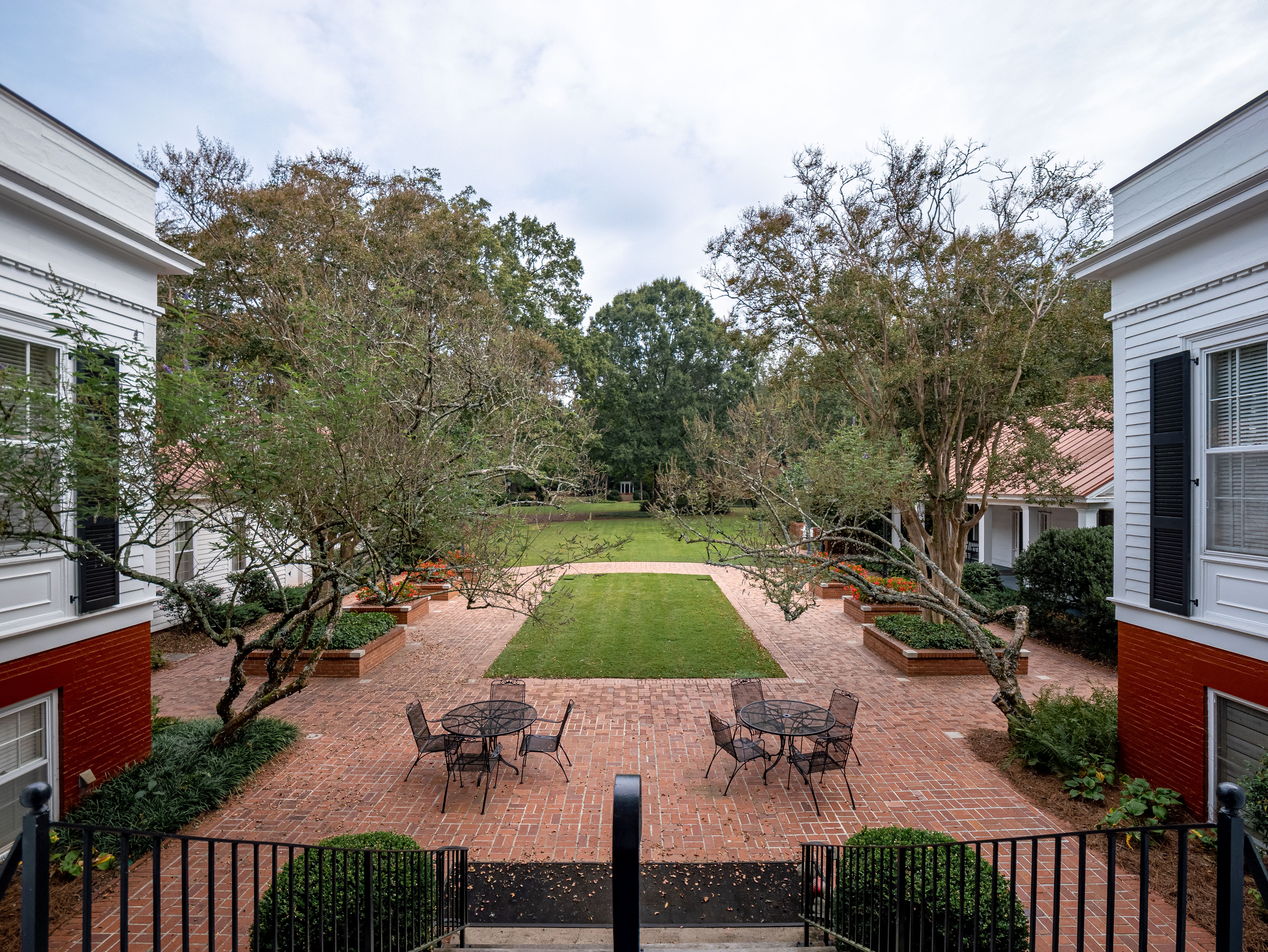 View of yard from the house.