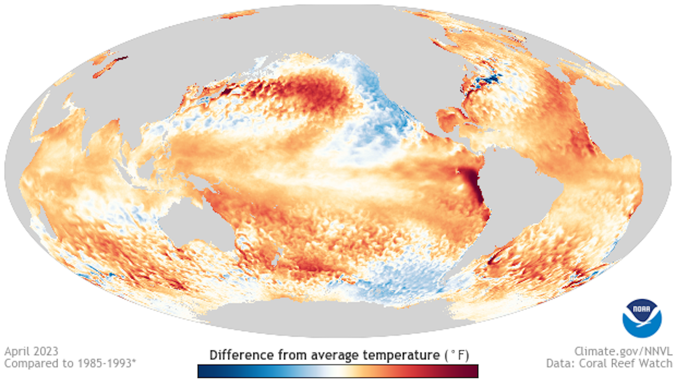 El Niño rapidly developing, could be 