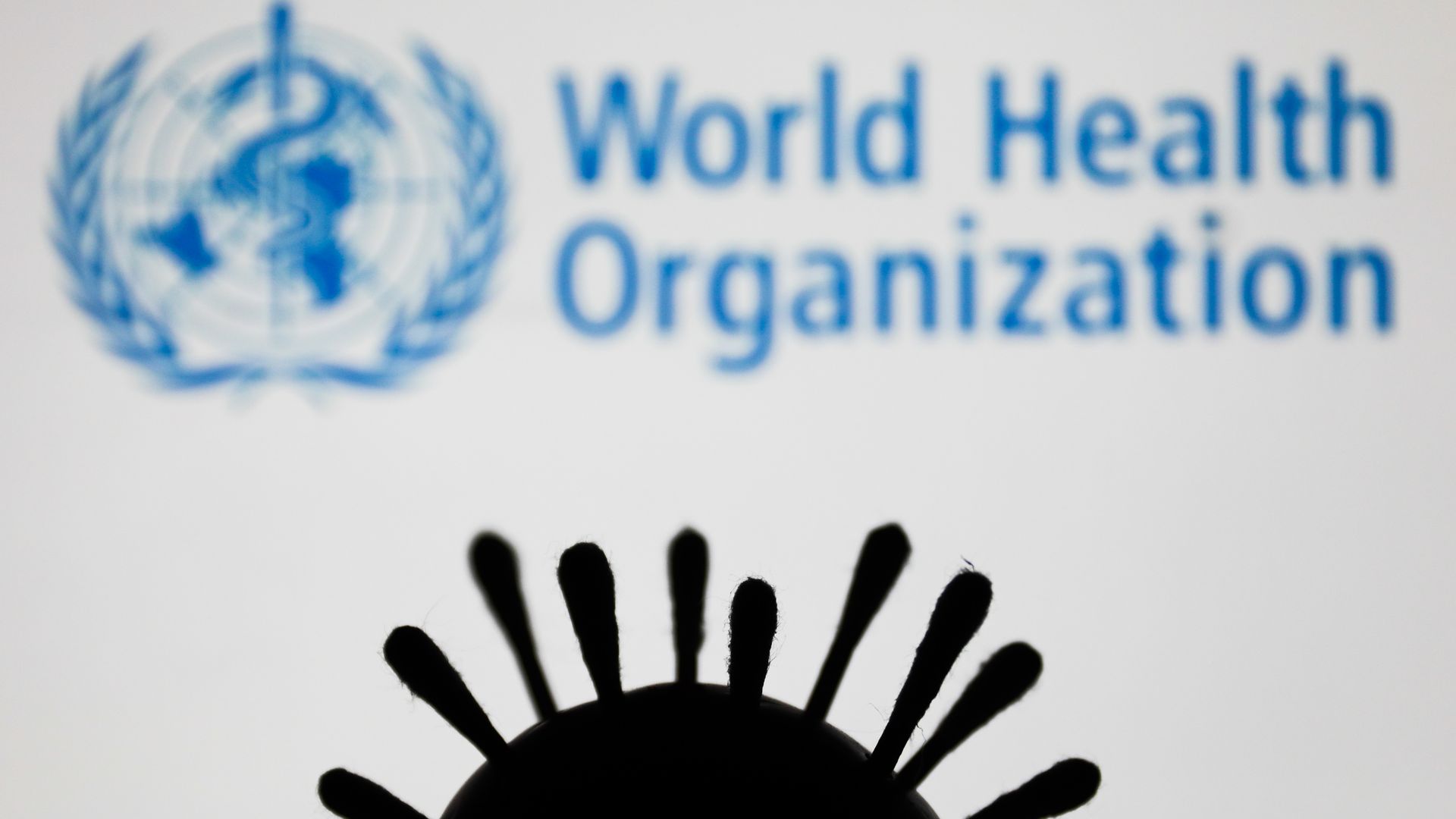 world health organization