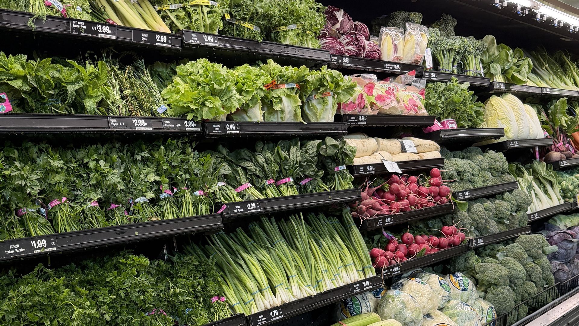 Wide grocery store produce display with stacked shelves of fresh greens and vegetables: lettuce, kale, herbs, cabbage, broccoli, leeks, radishes, and bok choy, with price labels visible.
