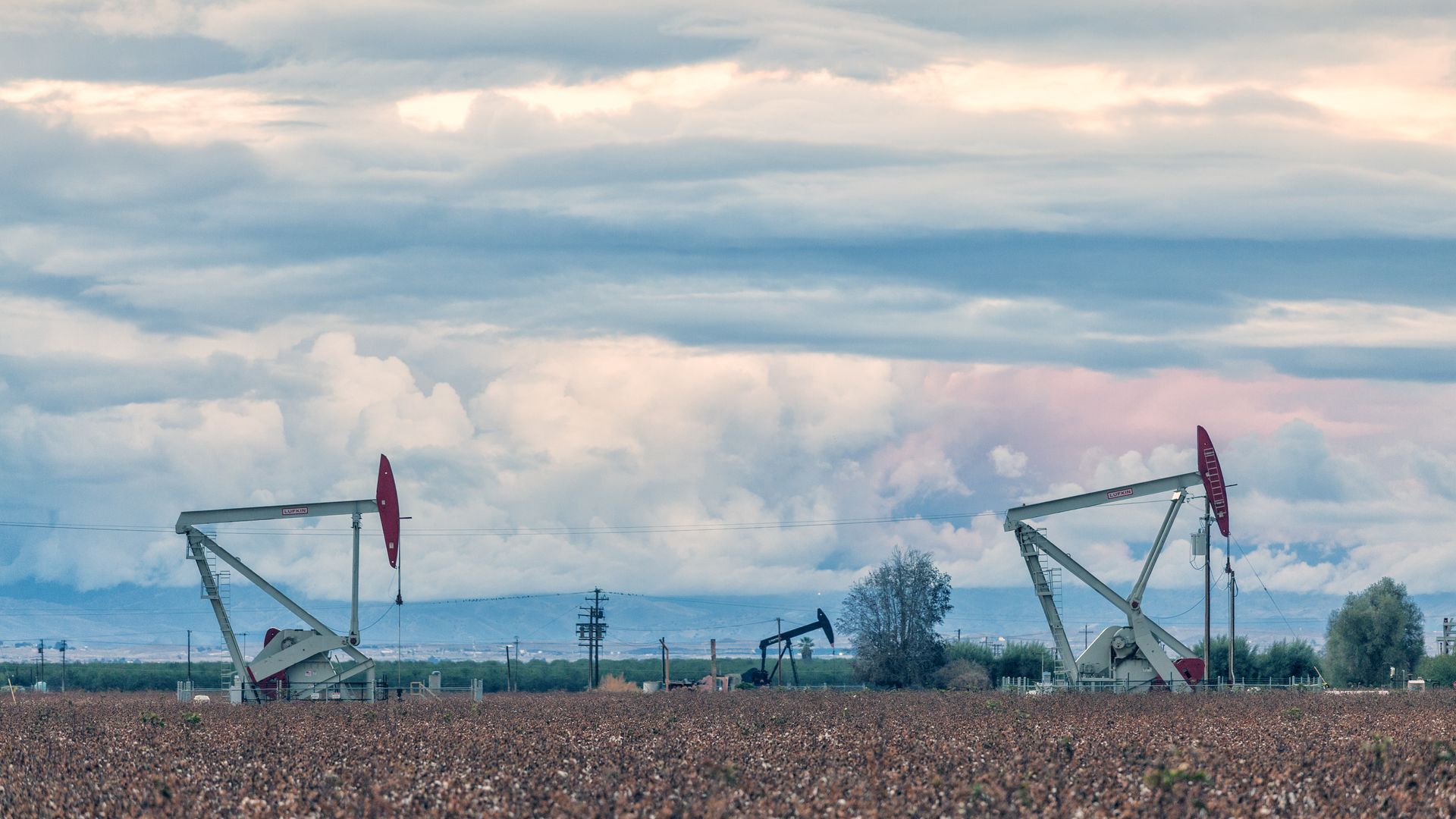 oil pumps in field