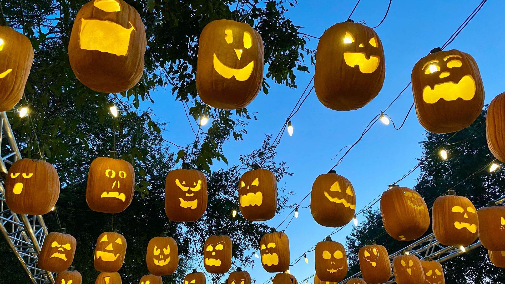 A photo of floating pumpkins.