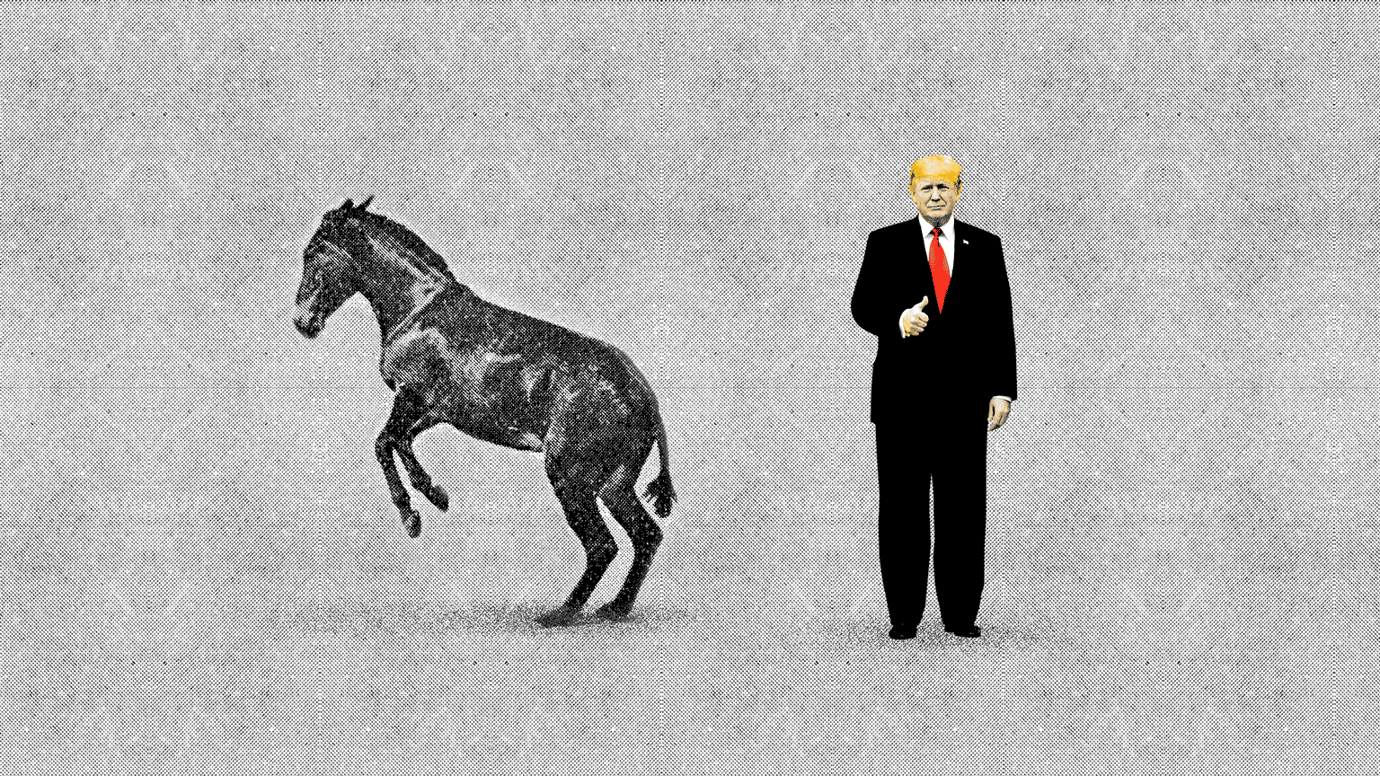Animated illustration of a donkey jumping and kicking it's back legs toward Donald Trump standing nearby giving a thumbs up.
