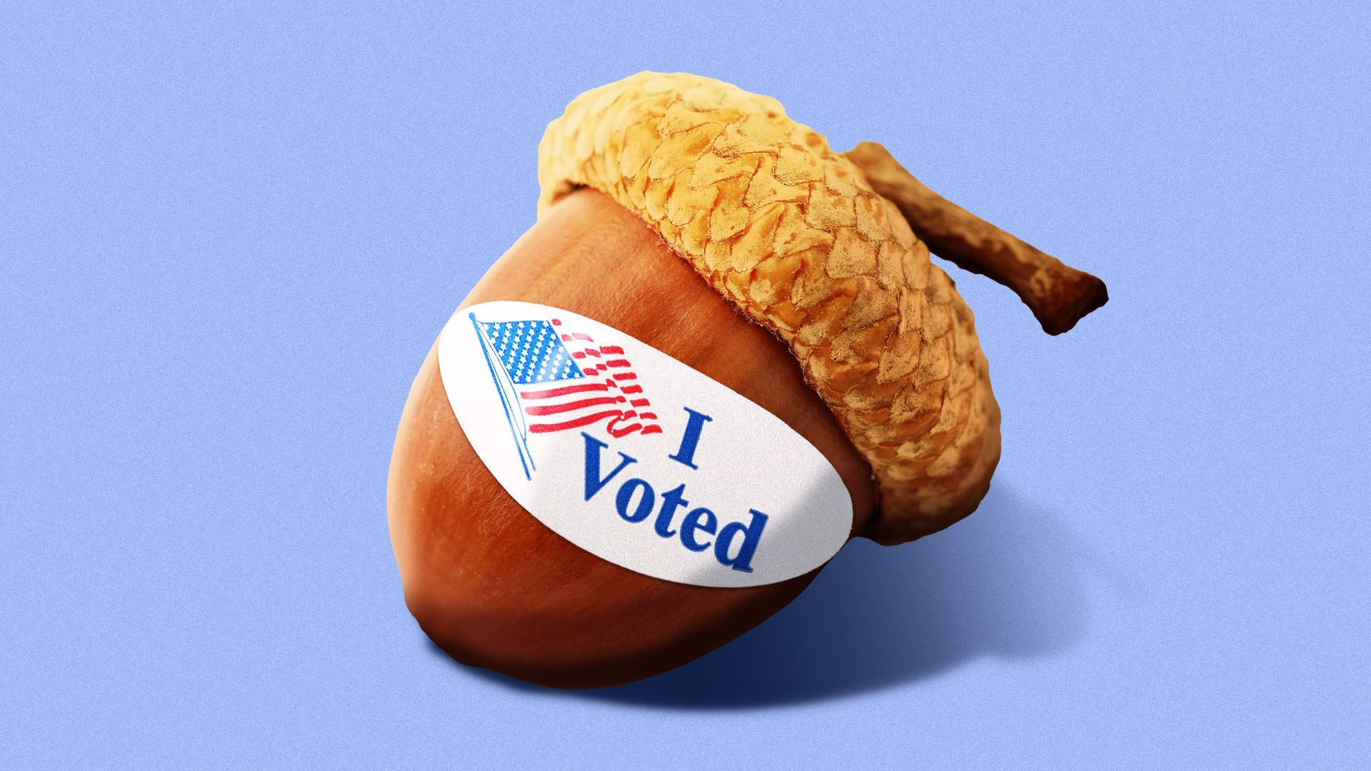Illustration of an acorn with an "I Voted" sticker