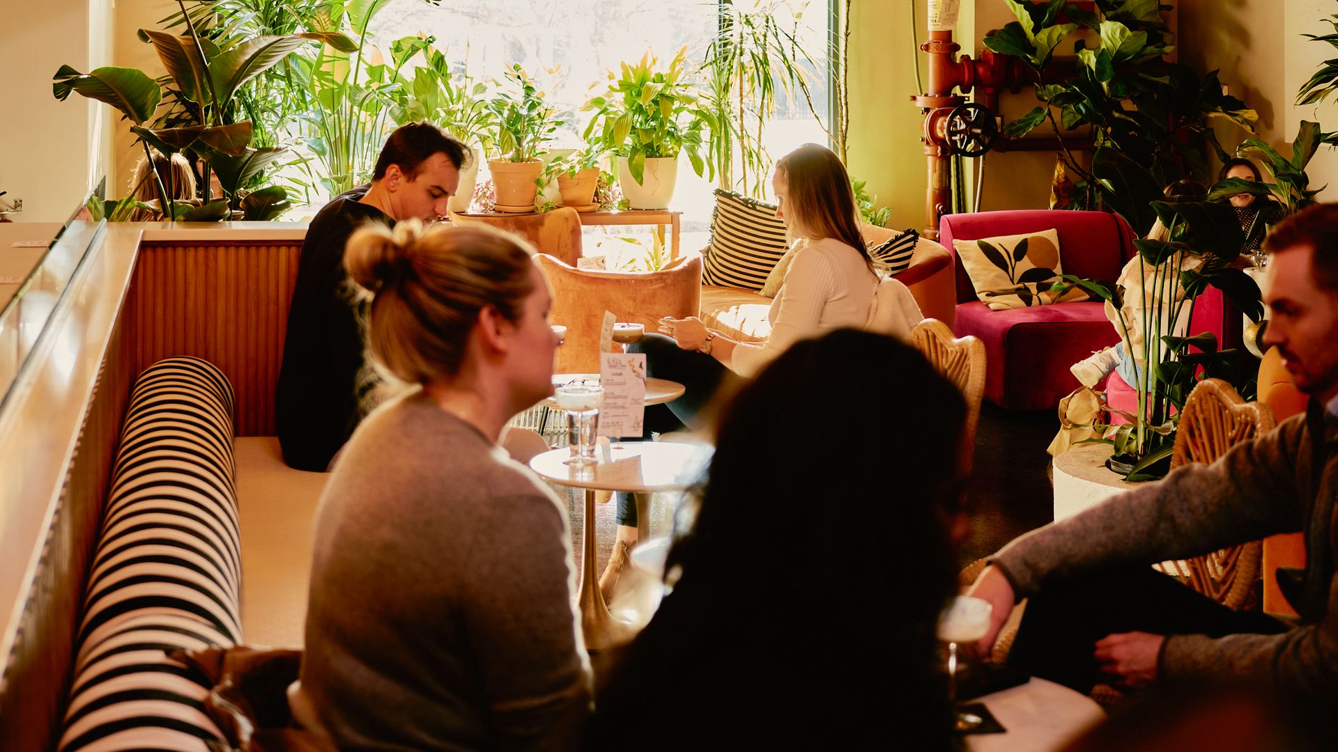 Cozy cafe interior with warm lighting, black-and-white striped seating, hanging lamps, and numerous green plants. Several people seated at small tables, chatting and enjoying drinks.
