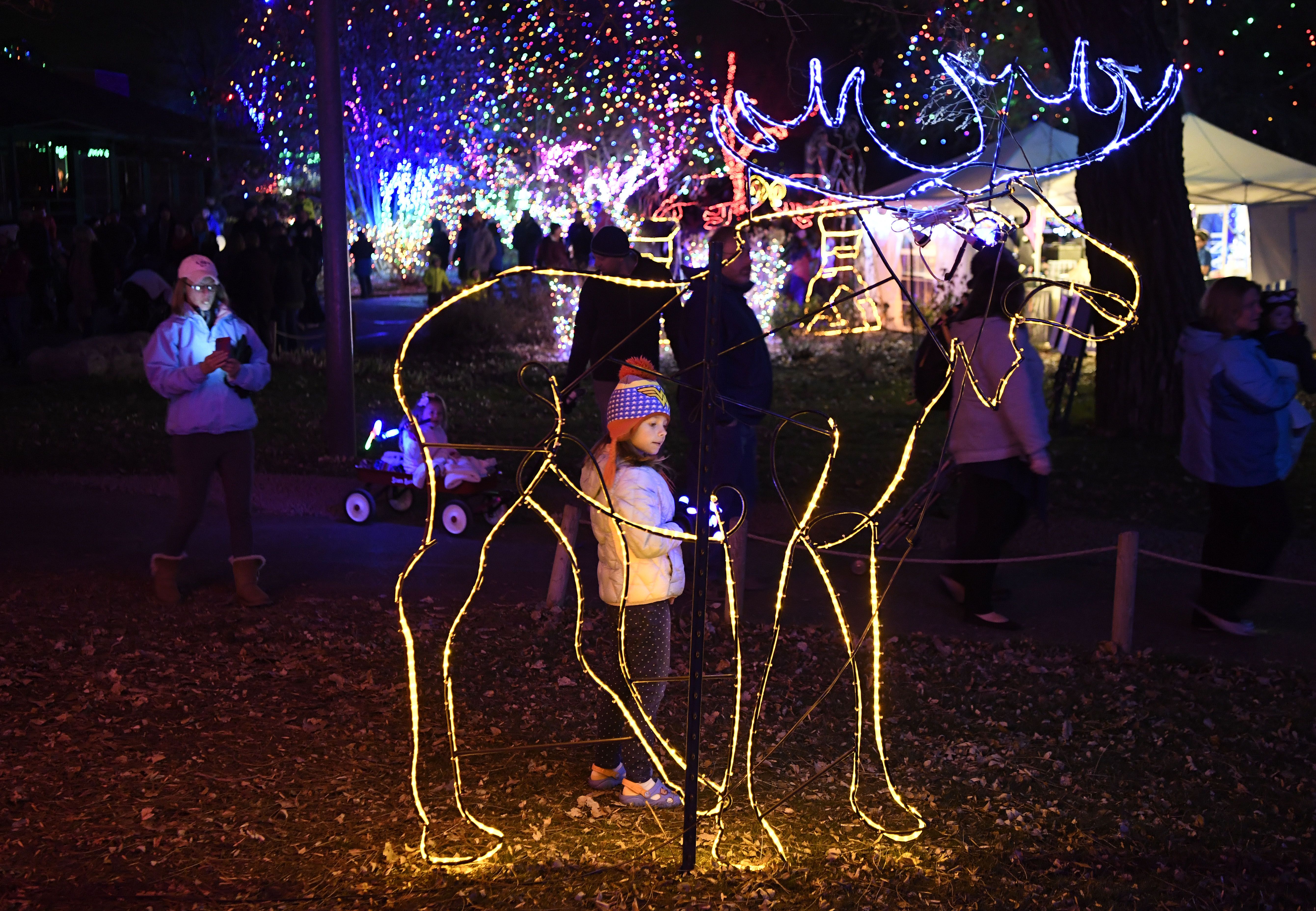 A girl stands next to an outline of a moose made up of lights. 