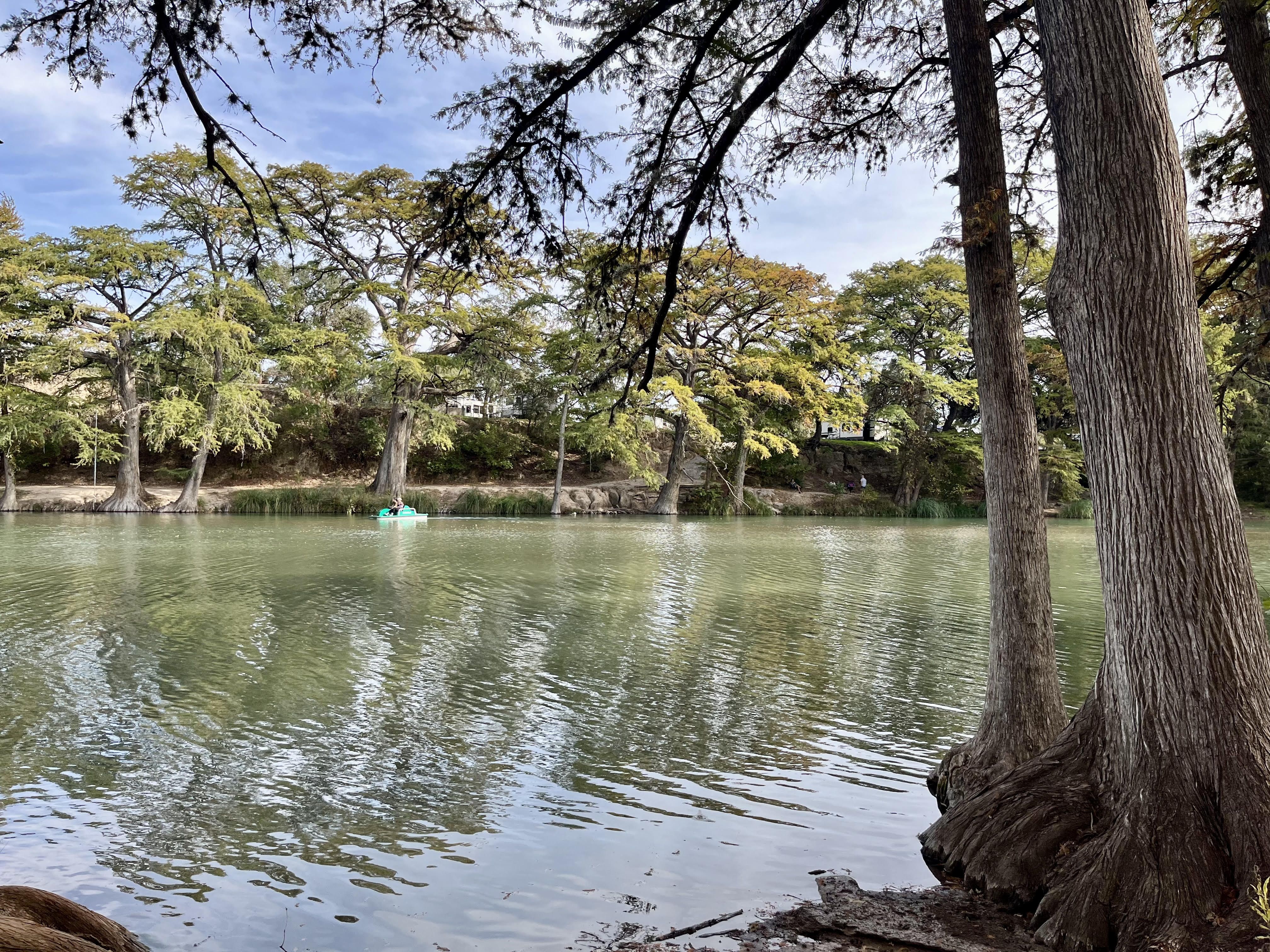 A river that appears green-ish in color is lined by trees with a blue sky and light clouds above it. There's a boat in the distance.