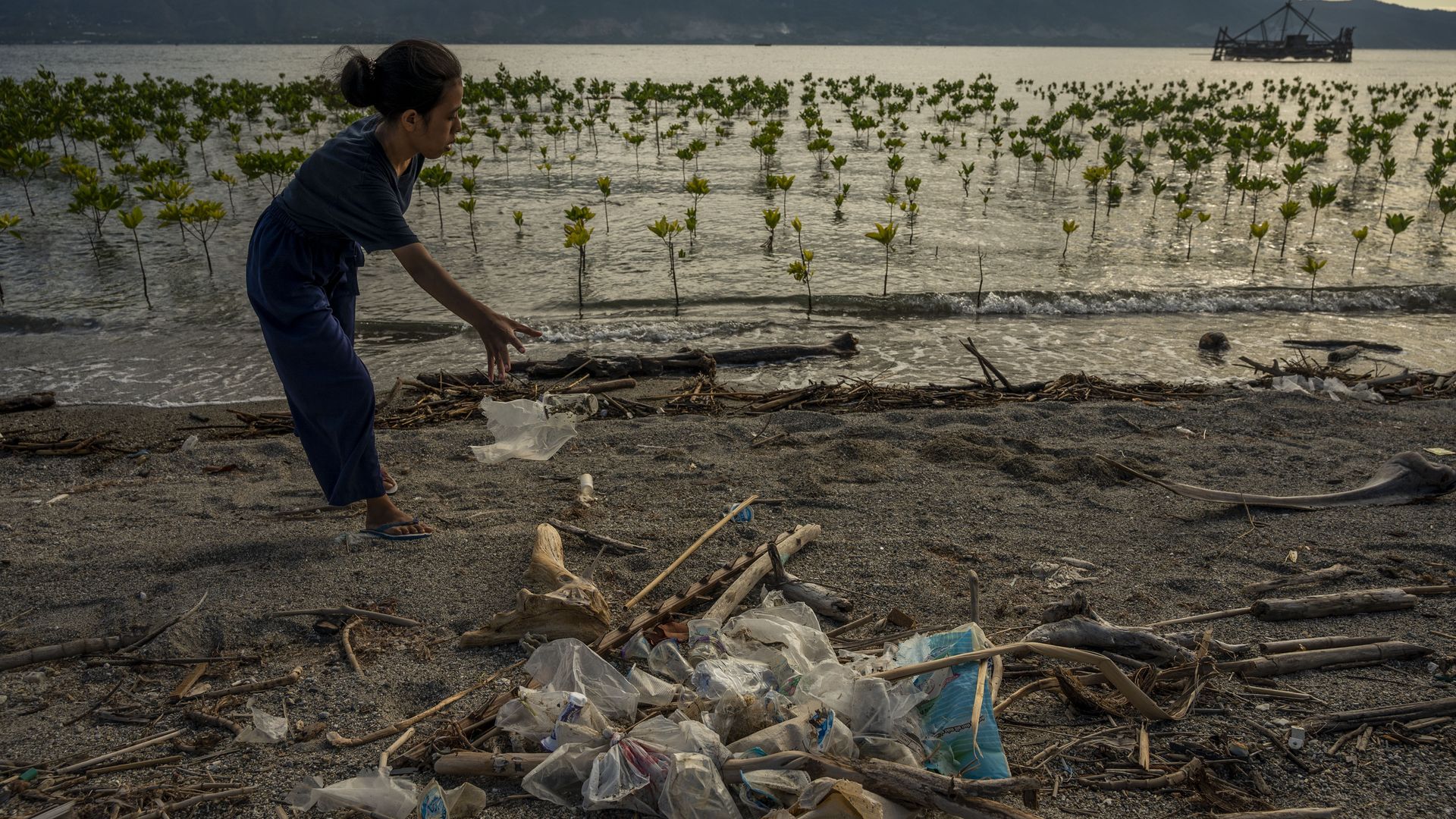 An environmental activist collects plastic waste scattered at a mangrove conservation site on Dupa Beach, Palu City, Central Sulawesi Province, Indonesia on May 13, 2022. 