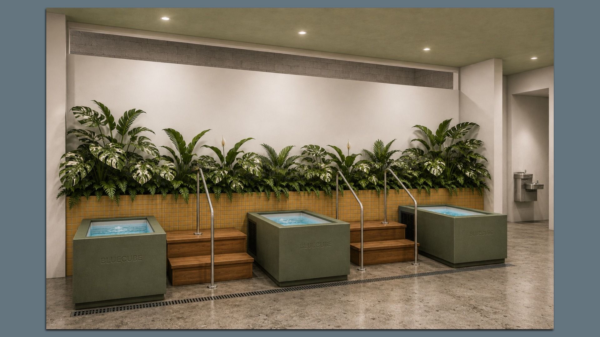 Indoor spa area with three green square planters holding water basins, wooden steps, and metal rails. Dense tropical plants line a yellow-tiled wall; beige walls and ceiling lights above.