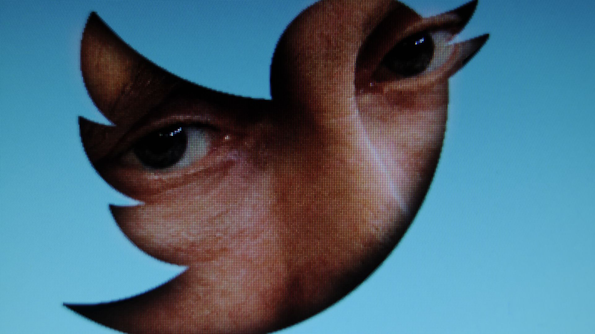 Russian President Vladimir Putin is seen through a Twitter logo in this photo illustration.